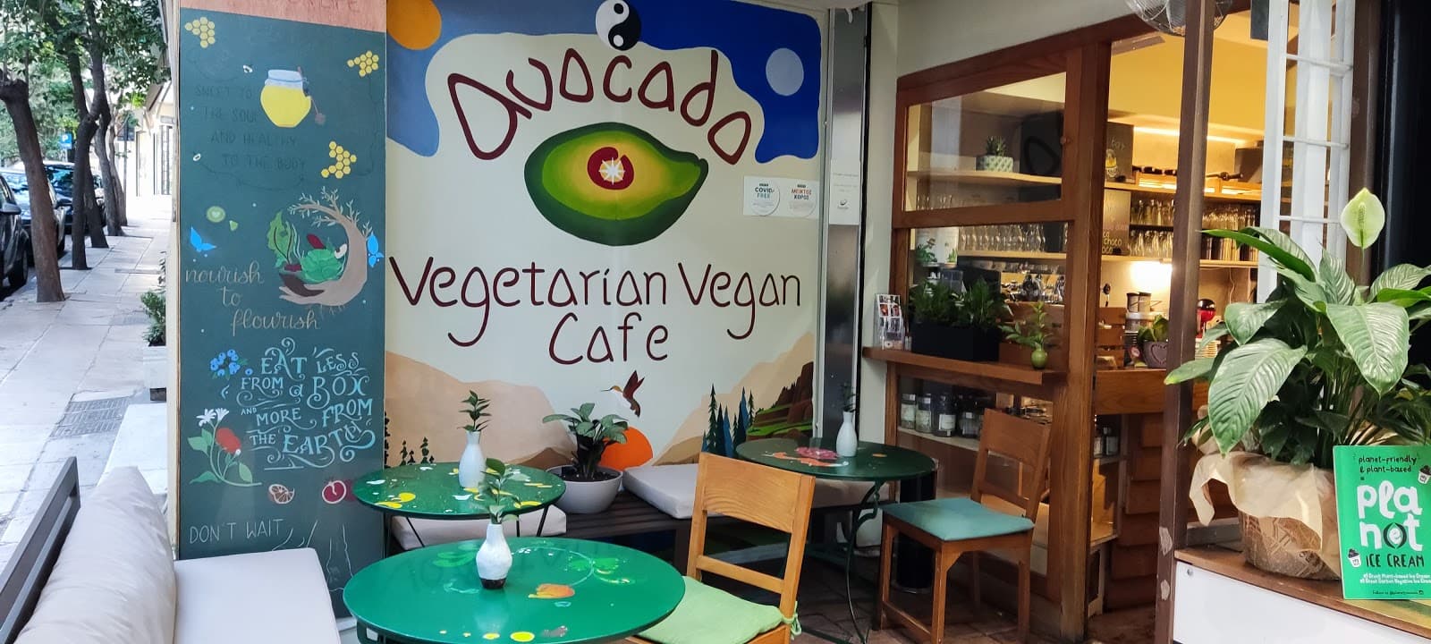 Avocado - Image 1