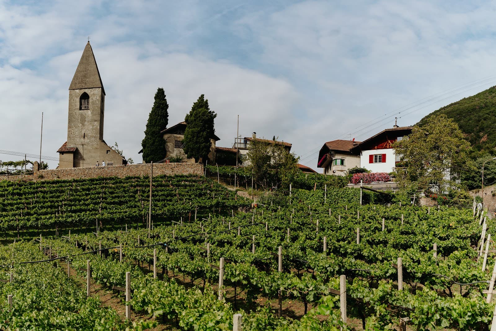 Santa Maddalena Wine Hill - Image 1