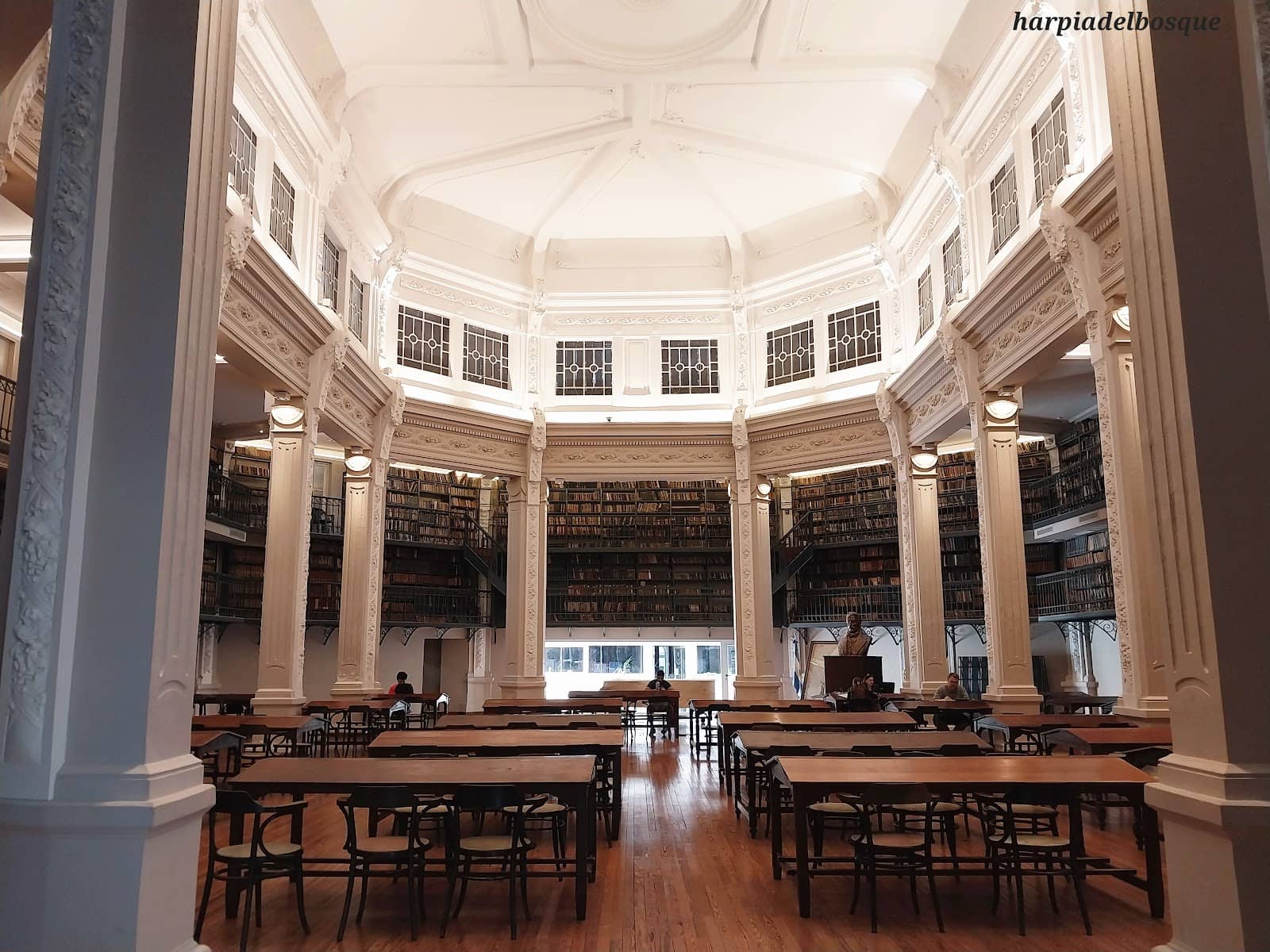 Vast Book Collection