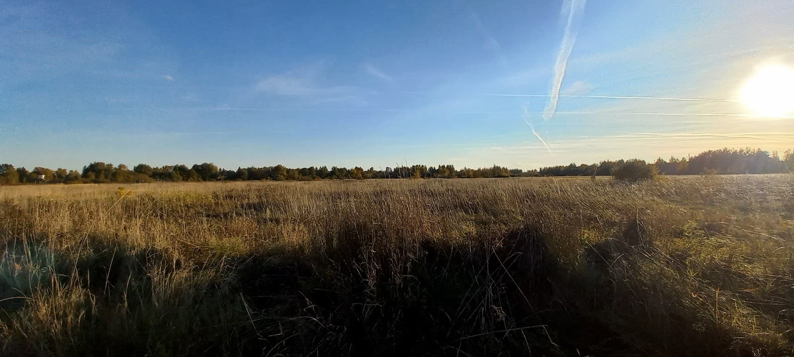 Fokinsky District - Image 1