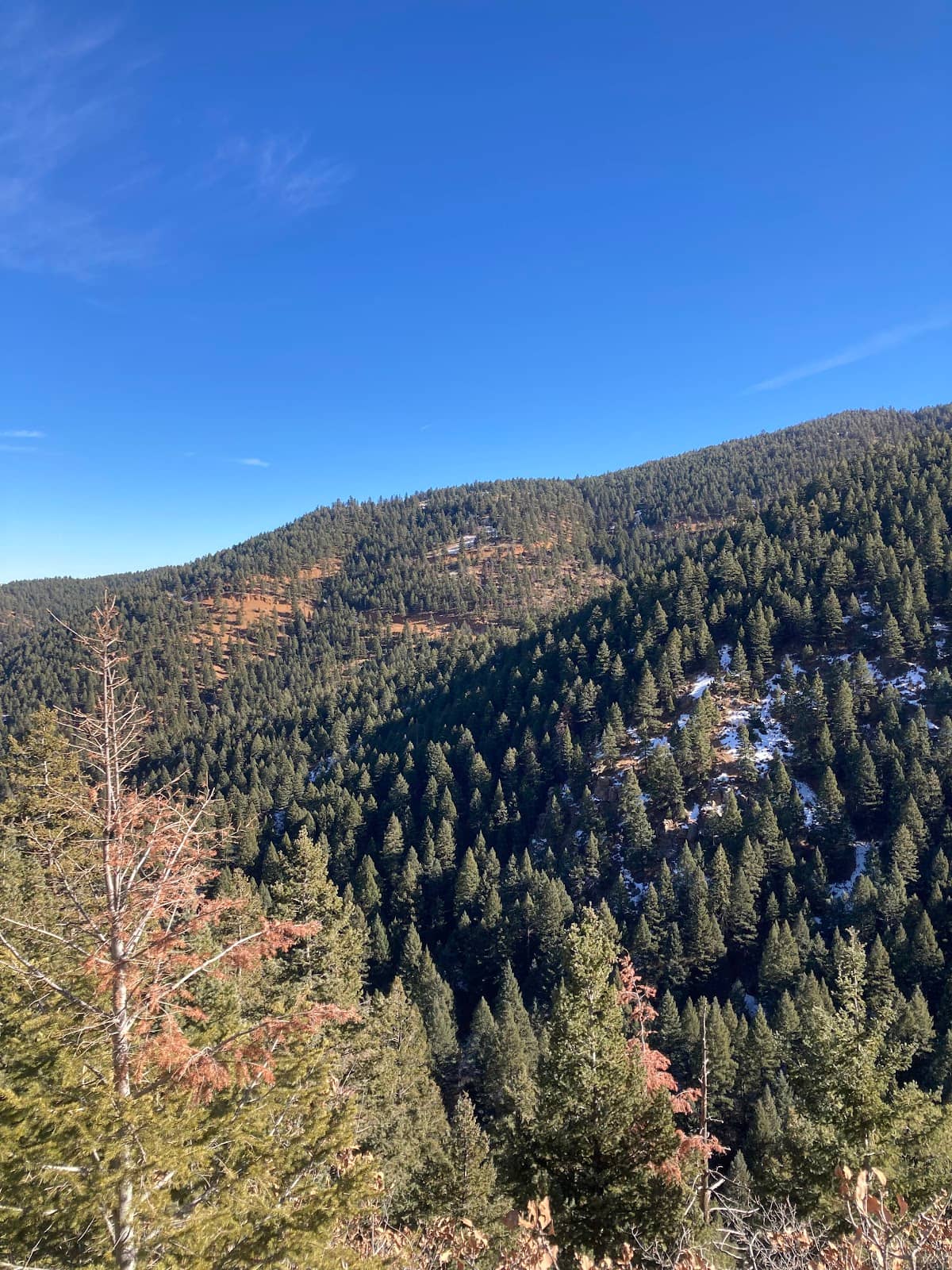 Morrison's Red Rocks Proximity