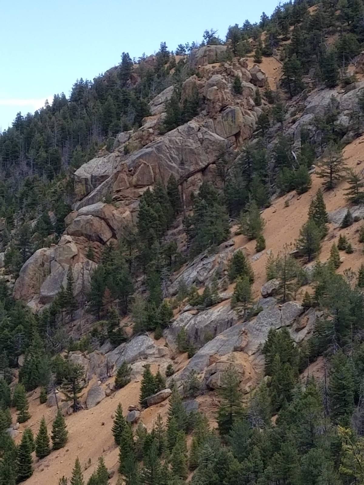 Vertical photo