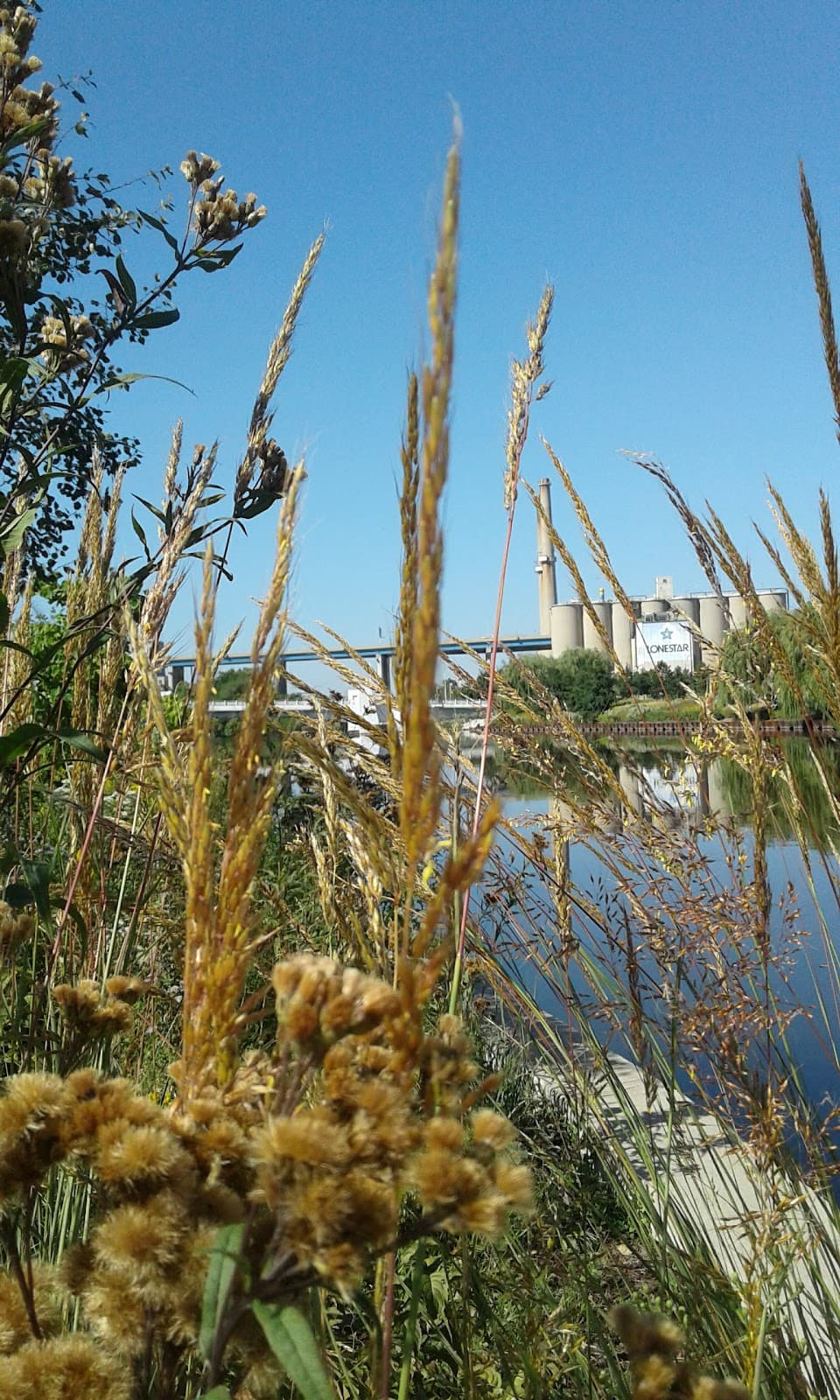 Walker's Point - Image 1