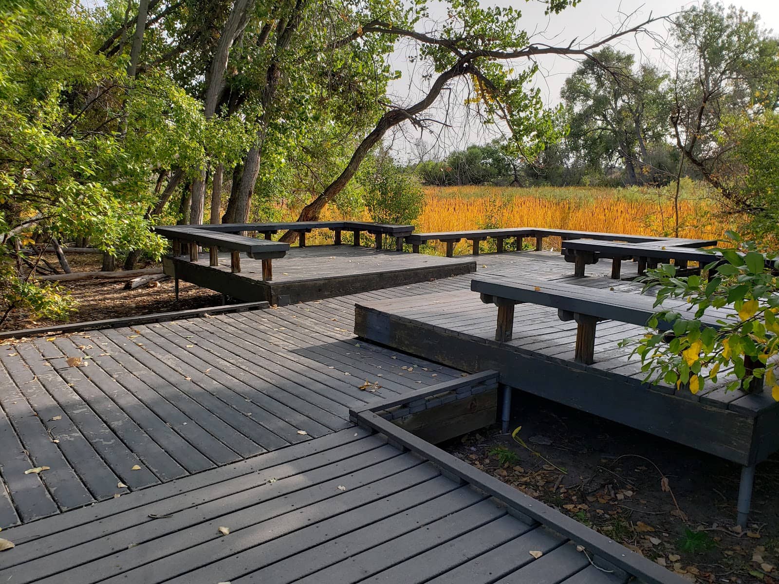 Wildlife Viewing Spots