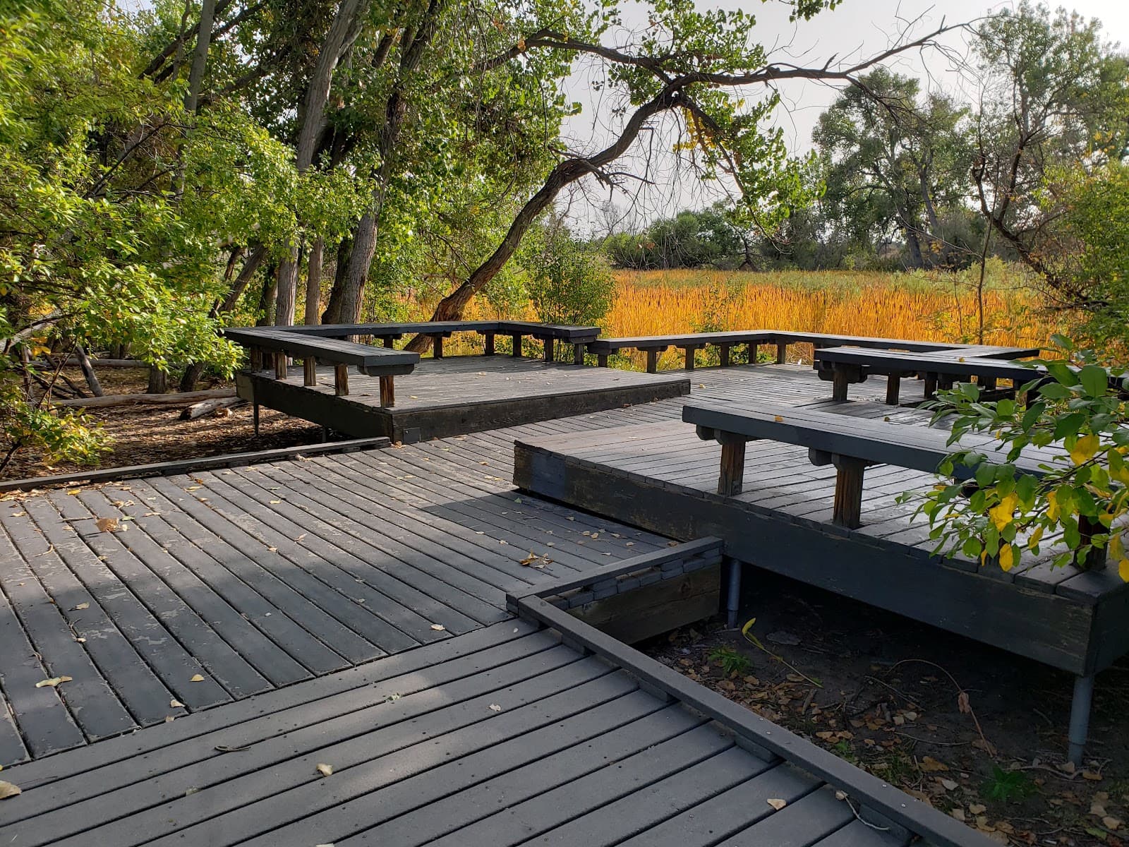 Jewell Wetlands Park - Image 1