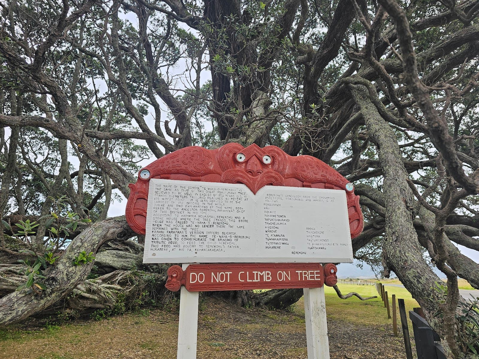 Te Waha o Rerekohu (pōhutukawa) - Image 1