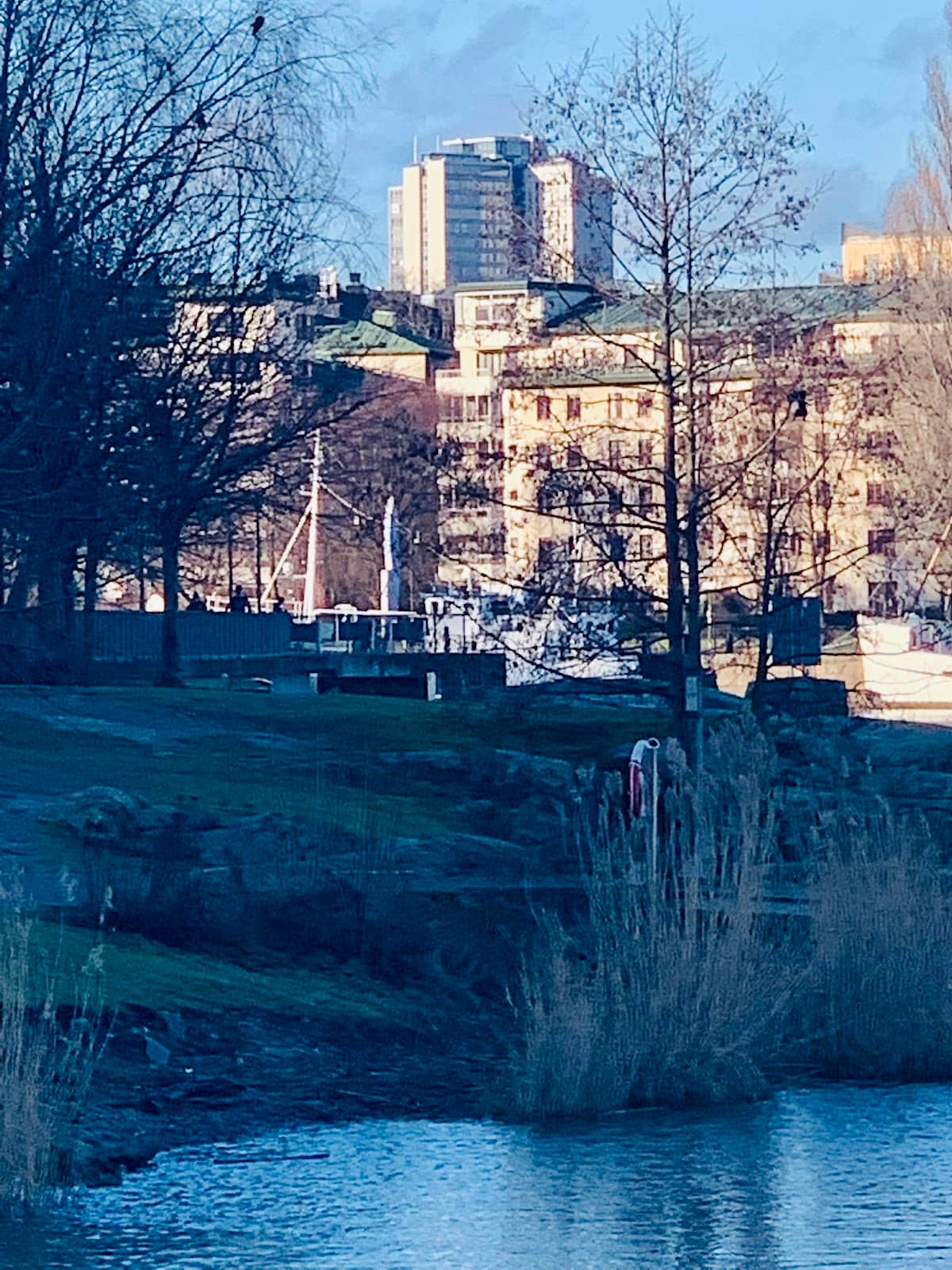 Vertical photo
