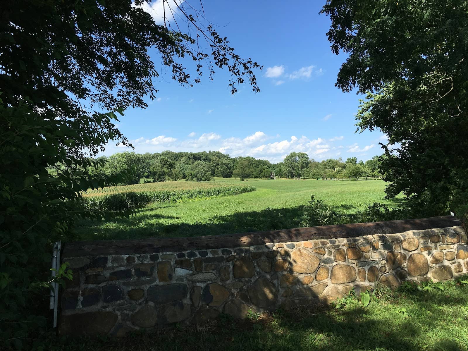 Scenic Farm Views