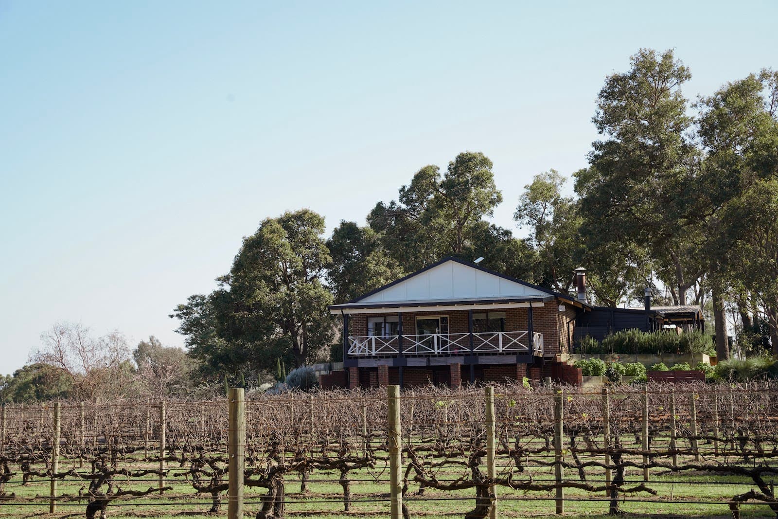 Lamont's Winery Swan Valley - Image 1