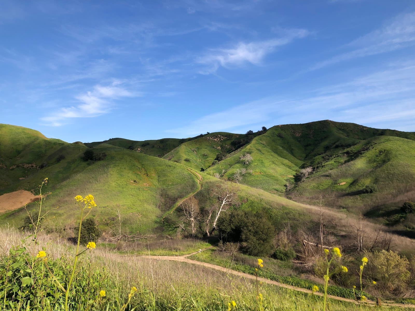 Chino Hills State Park - Image 1