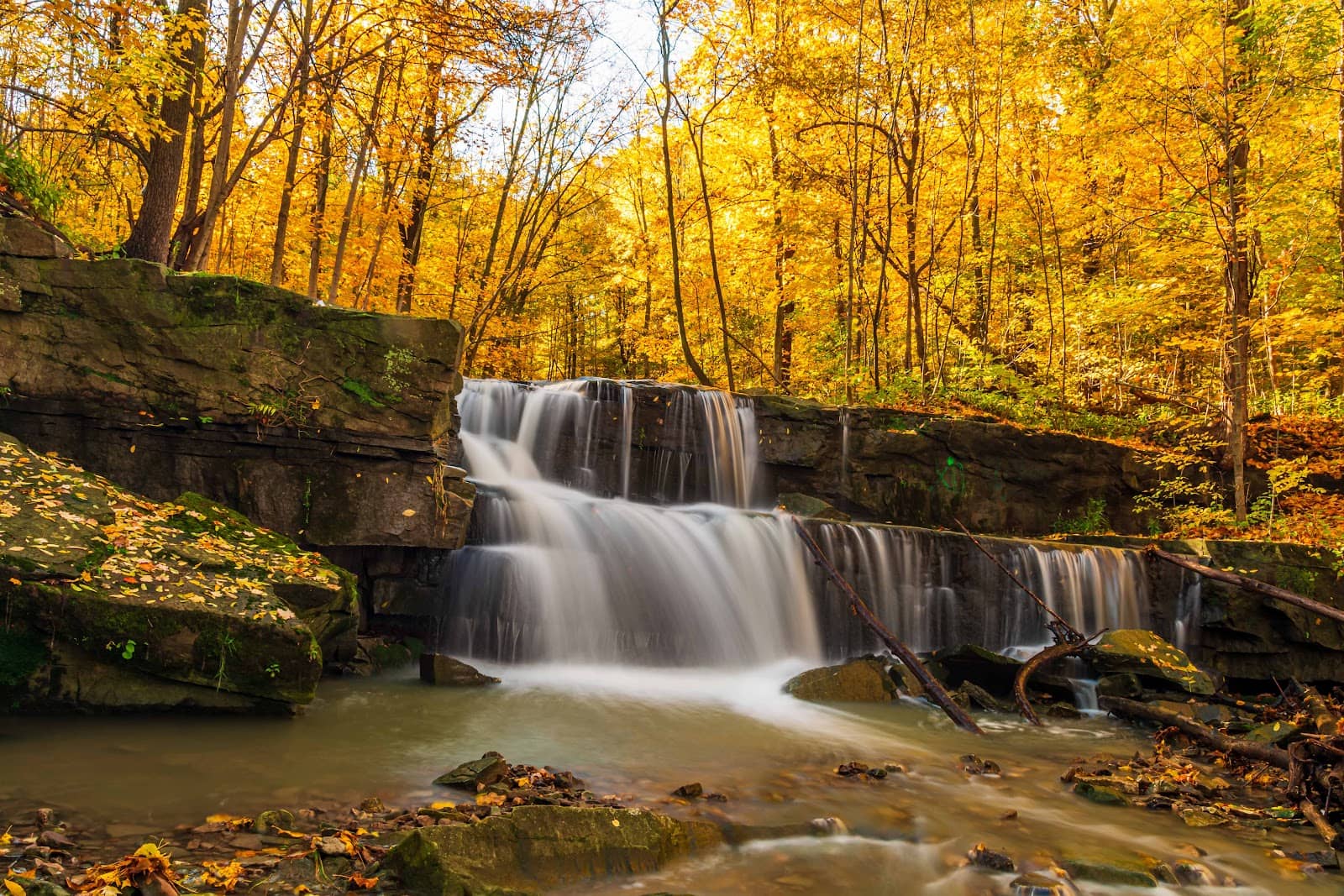 Creek Bed Exploration