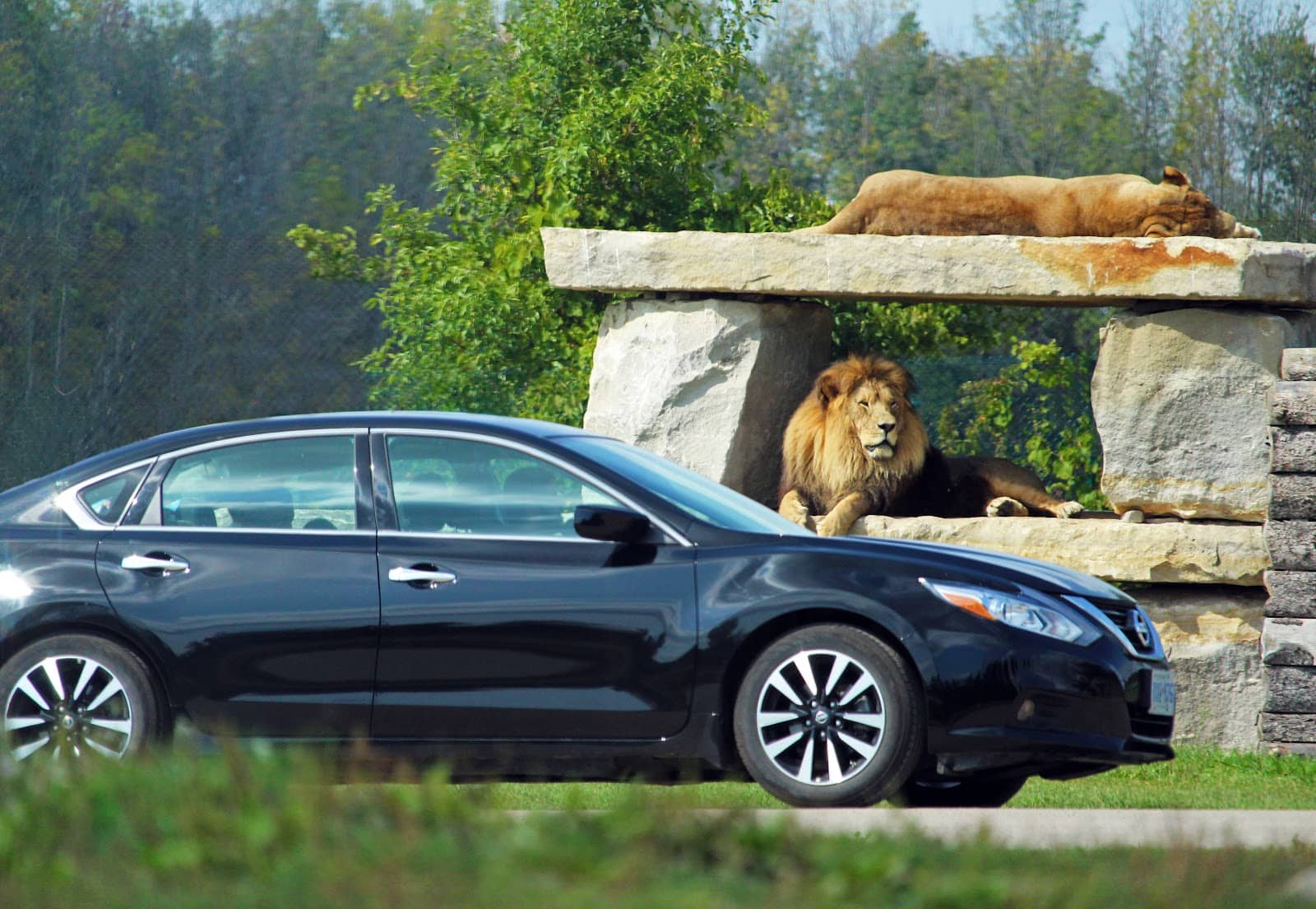 Kenya Gate Walk-Through