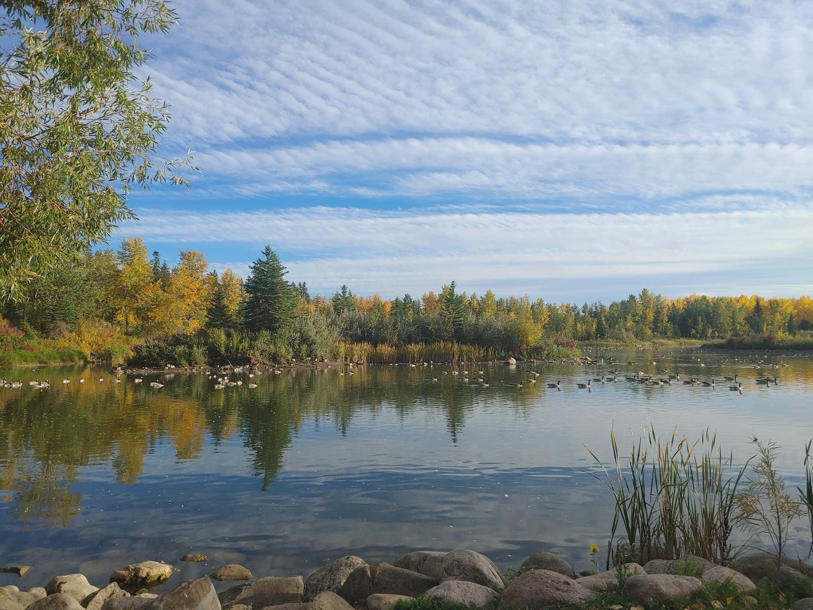 McKenzie Trails Nature Area - Image 1