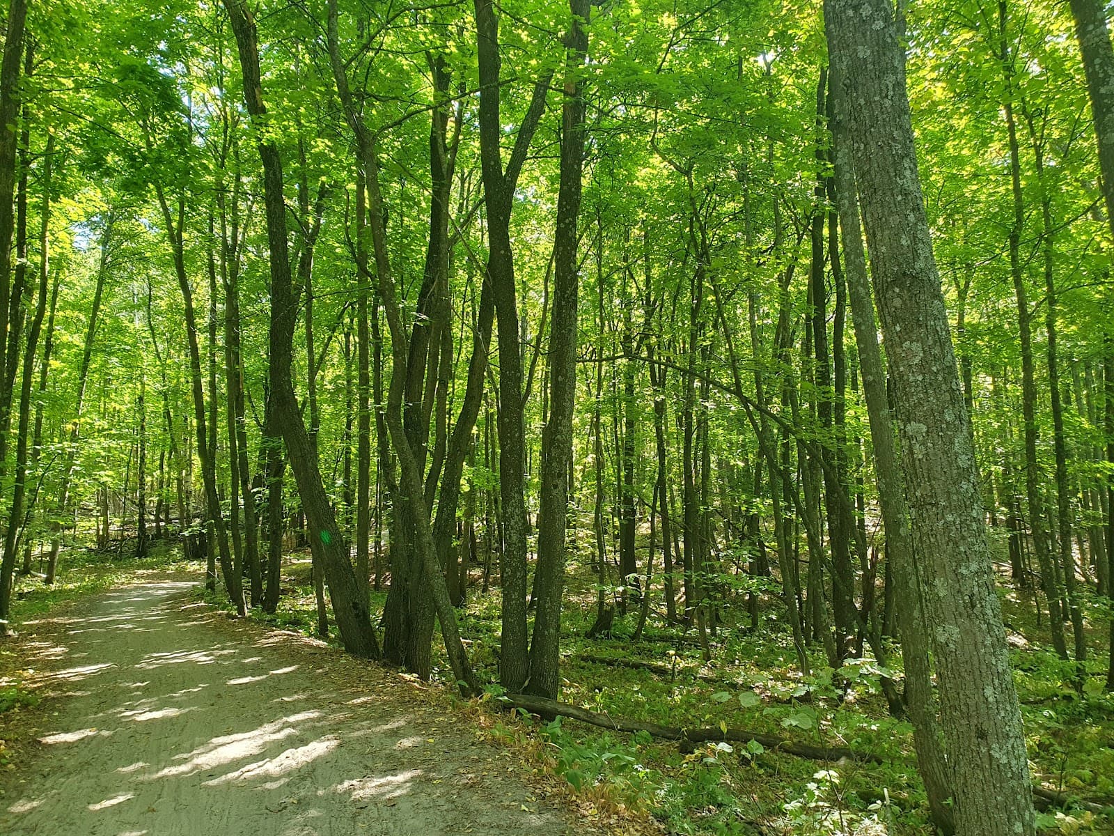Kumysnaya Polyana Park - Image 1