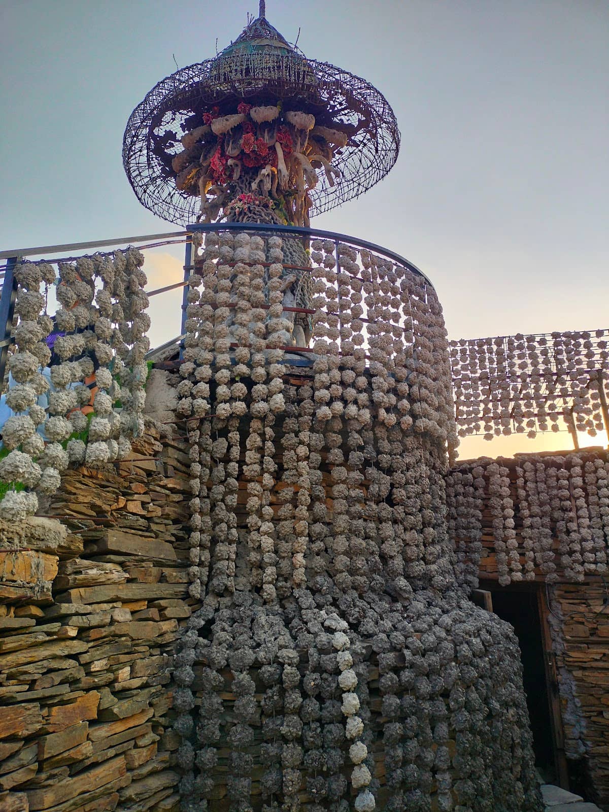 Vertical photo