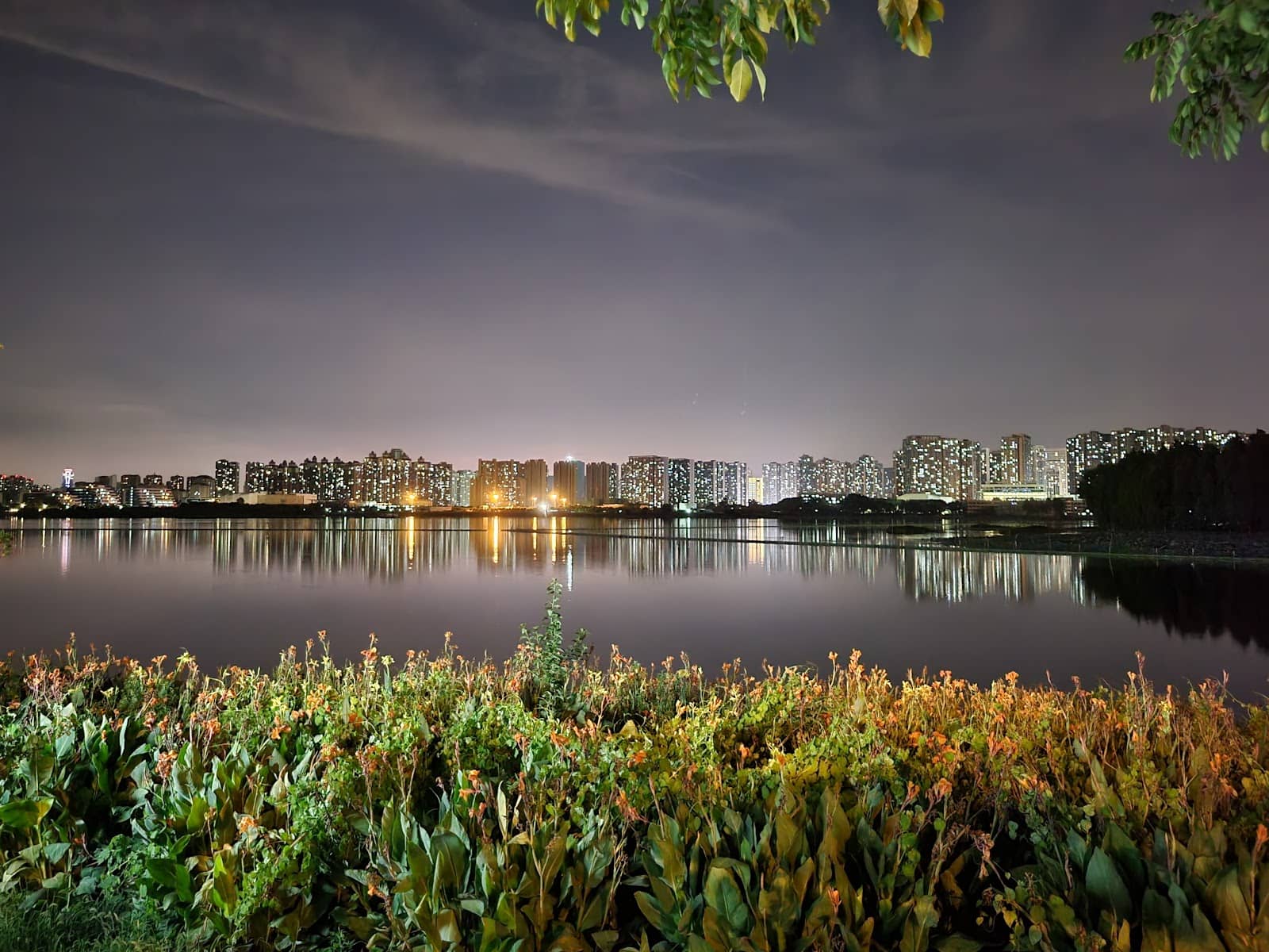 University Lakeside Views