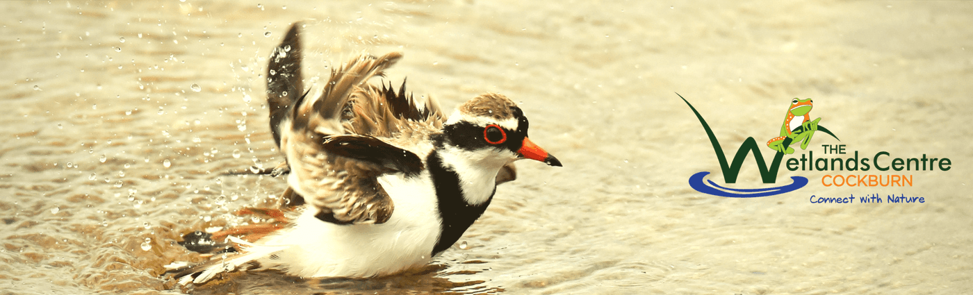 Aboriginal Culture Integration