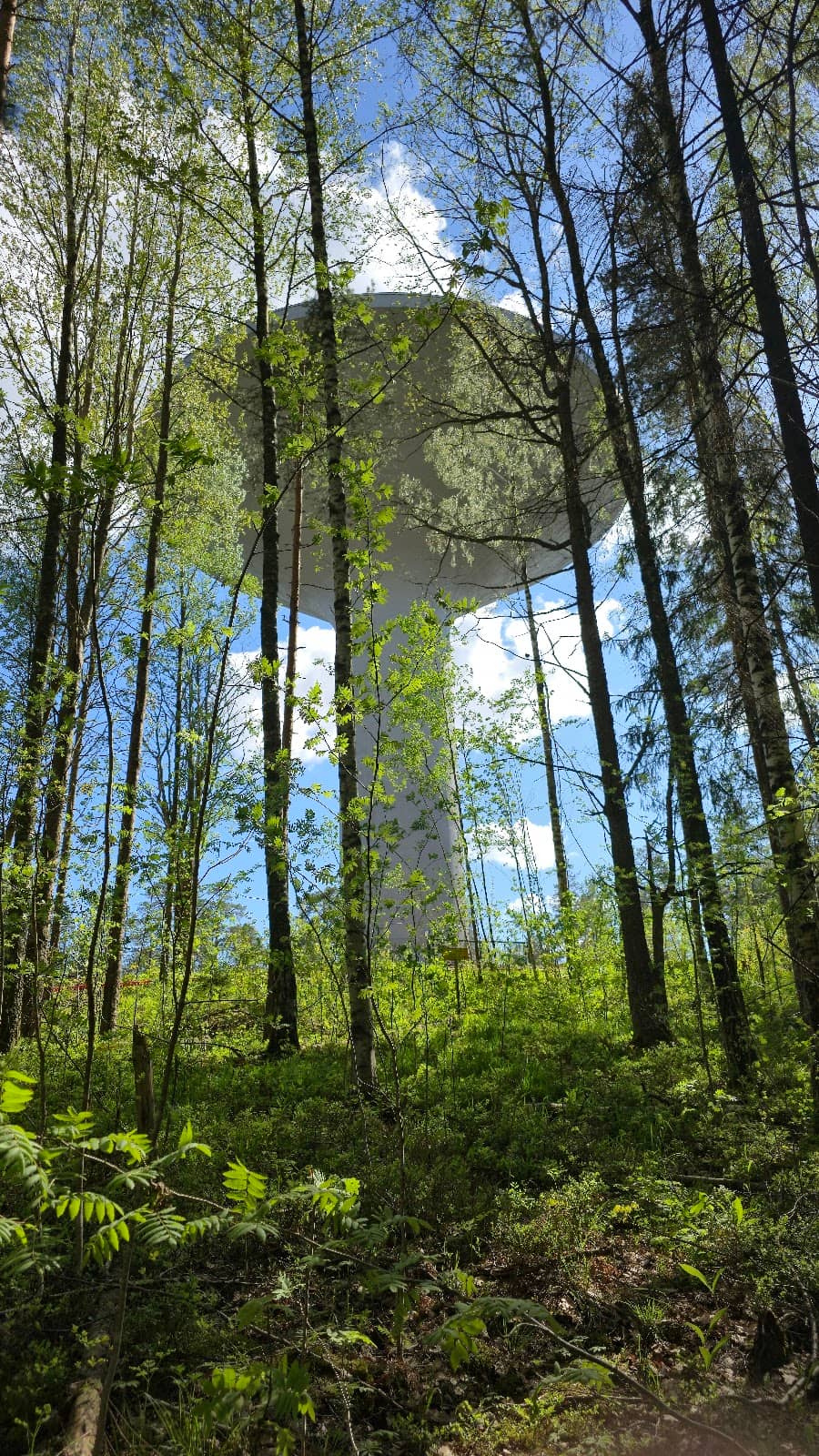 Vertical photo