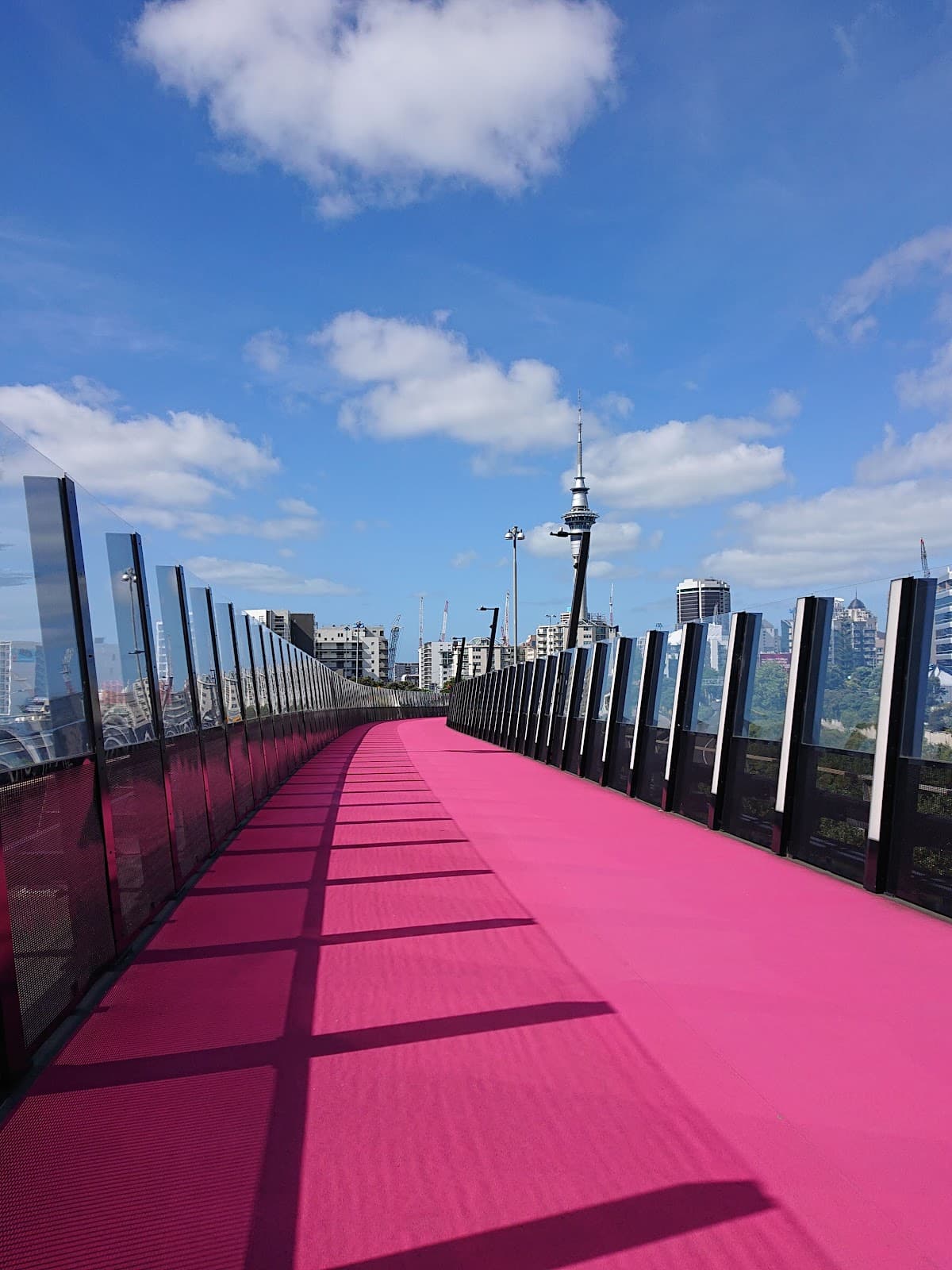 Te Ara I Whiti – Lightpath Auckland - Image 1