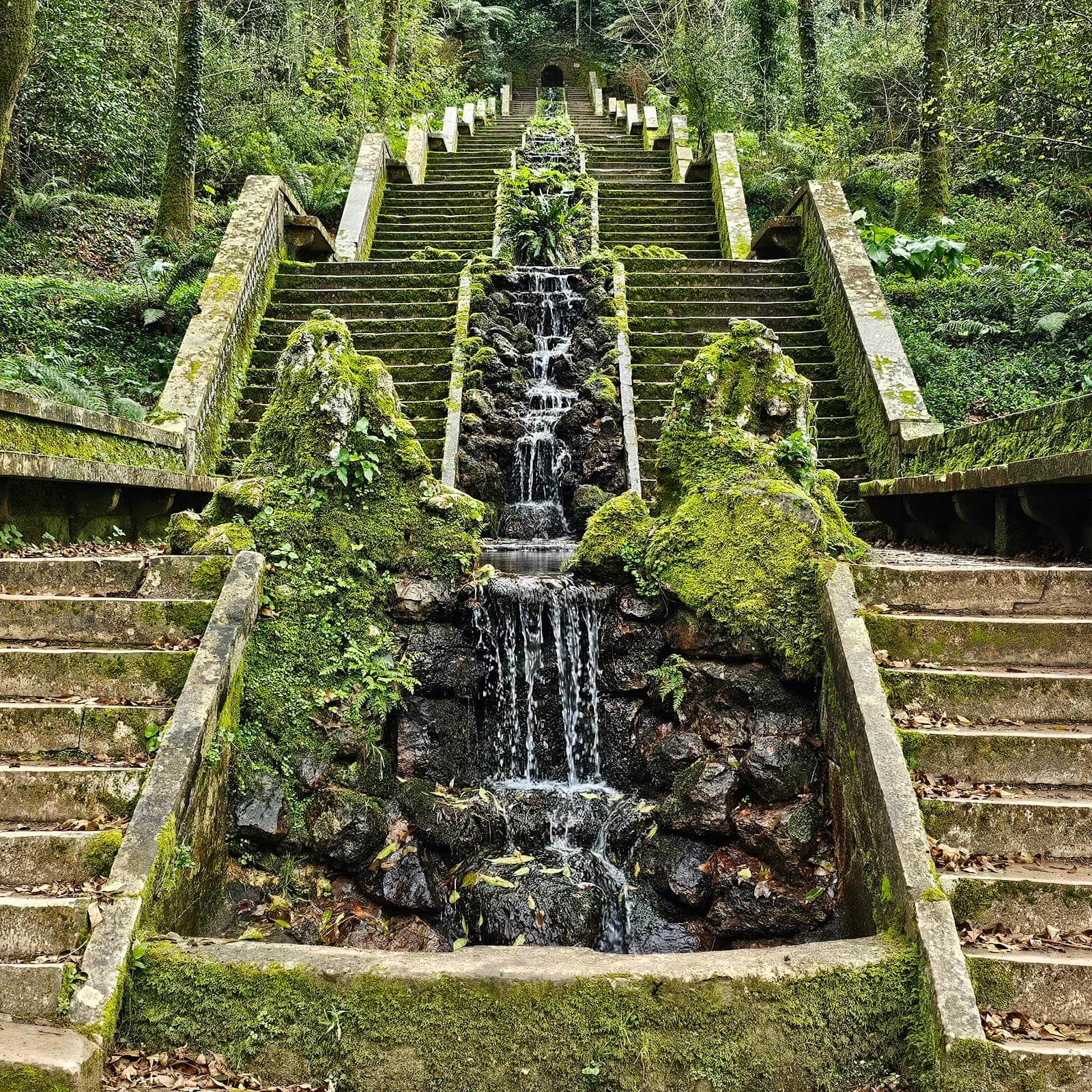 Buçaco National Forest - Image 1