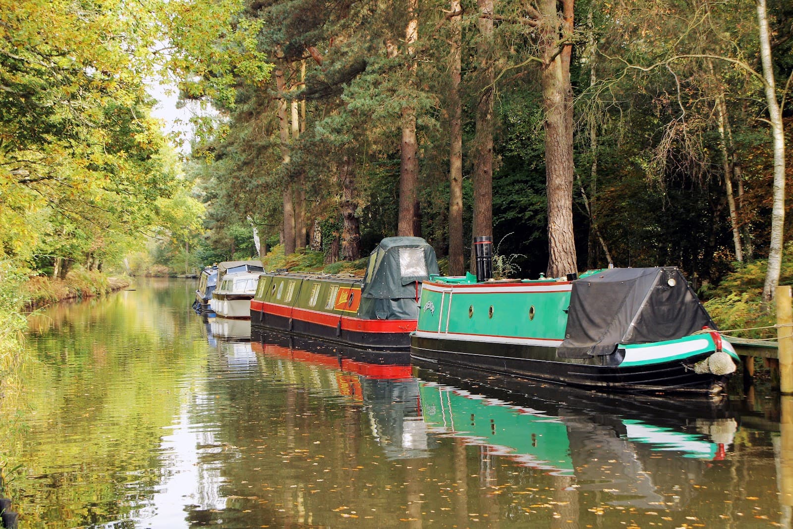 Basingstoke Canal (Farnborough) - Image 1