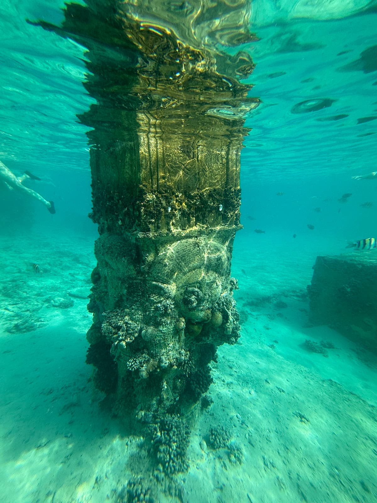Sunken City Sahl Hasheesh - Image 1