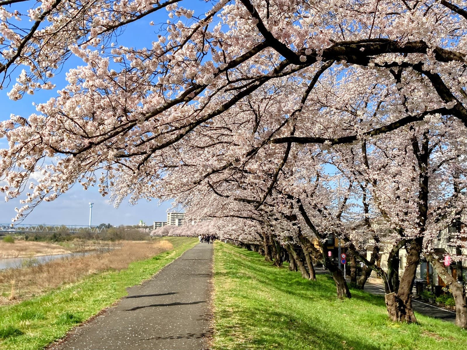 Fussa Tamagawa Riverside Park - Image 1