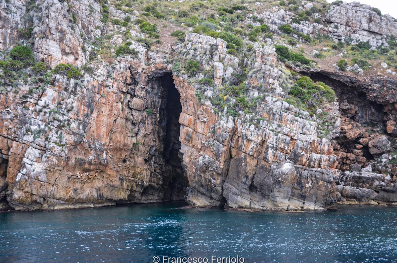 Vertical photo