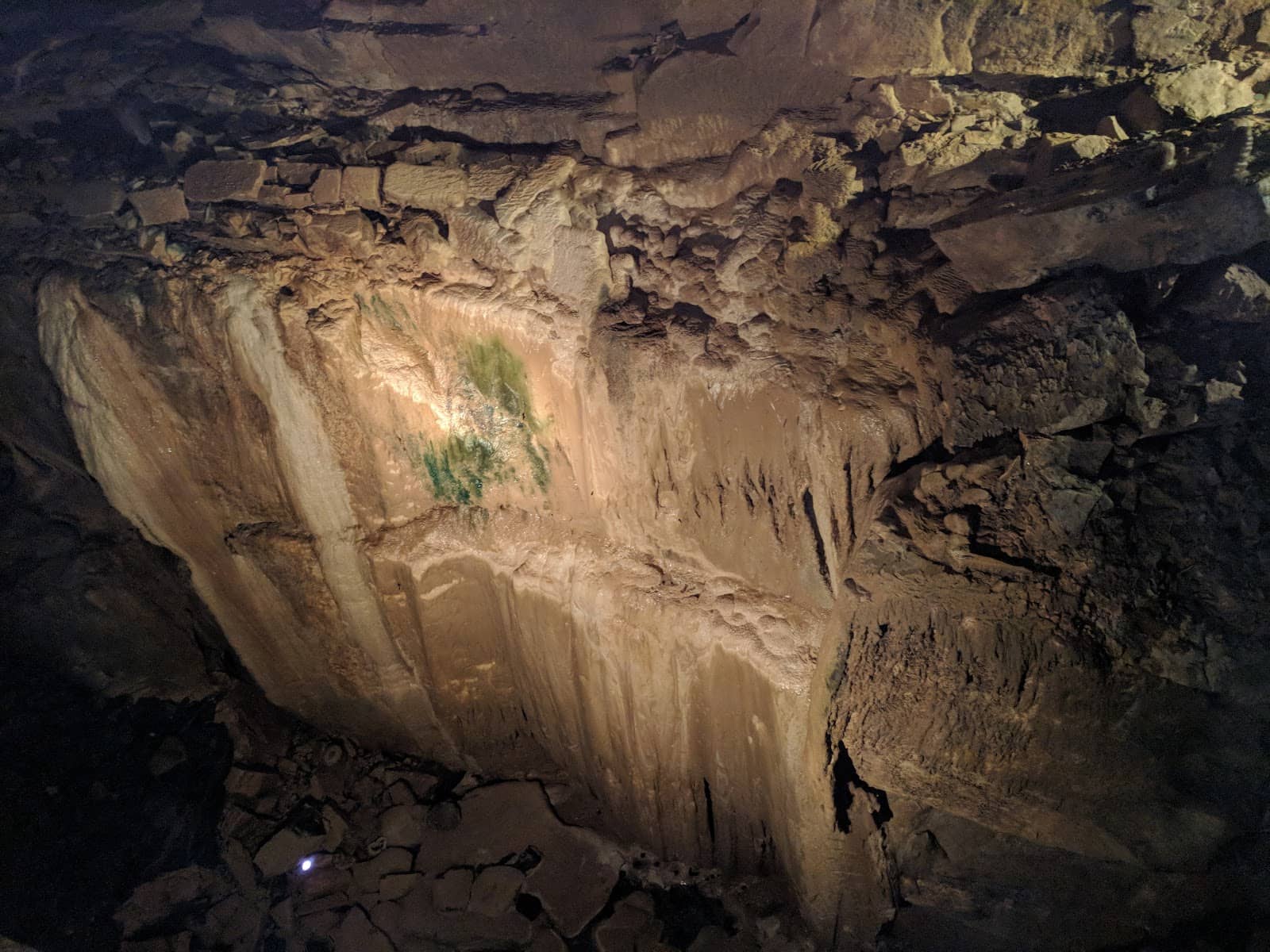 Hawk Walk Experience