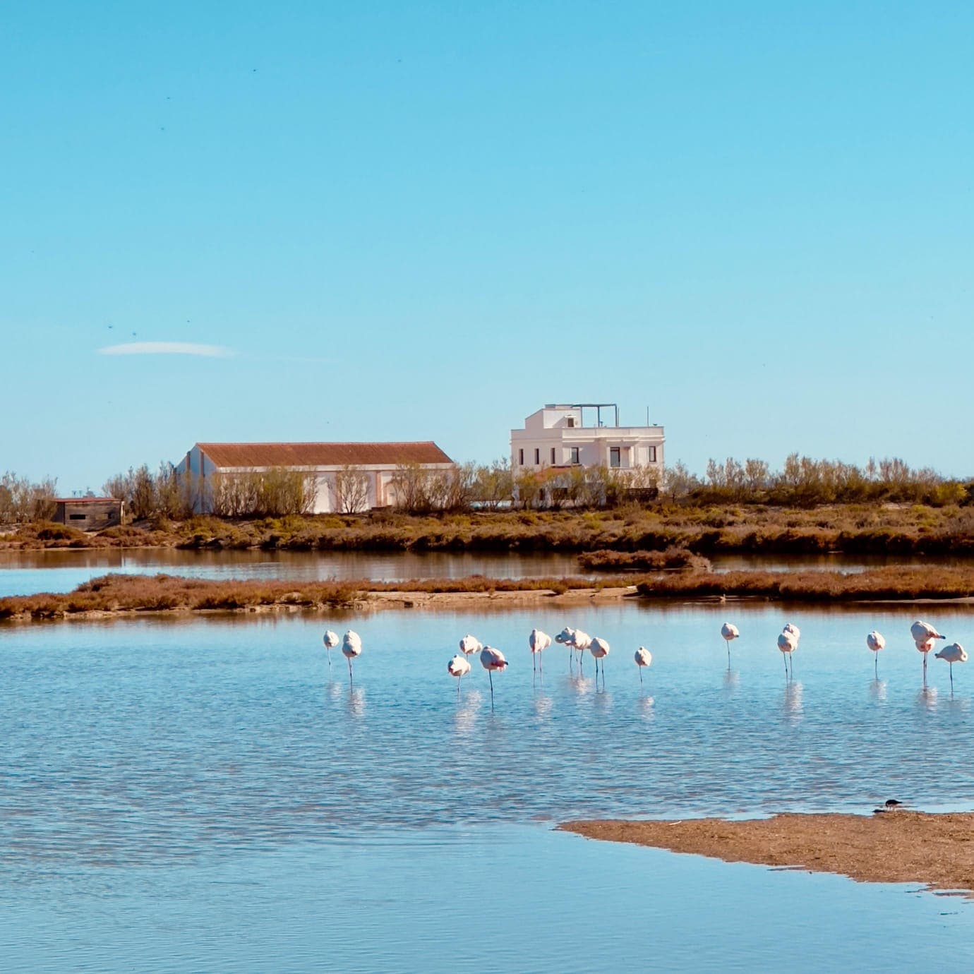 MónNatura Delta de l’Ebre - Image 1