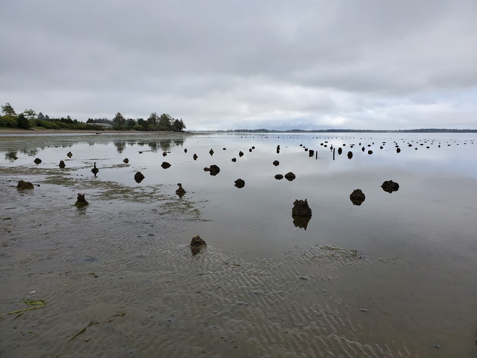 Bottle Beach State Park - Image 1