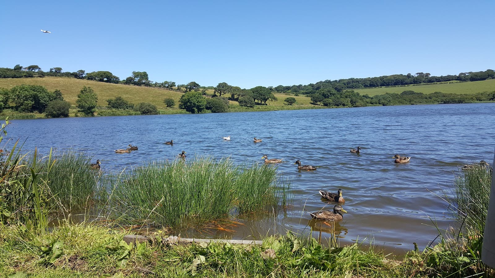 Porth Reservoir Nature Reserve - Image 1