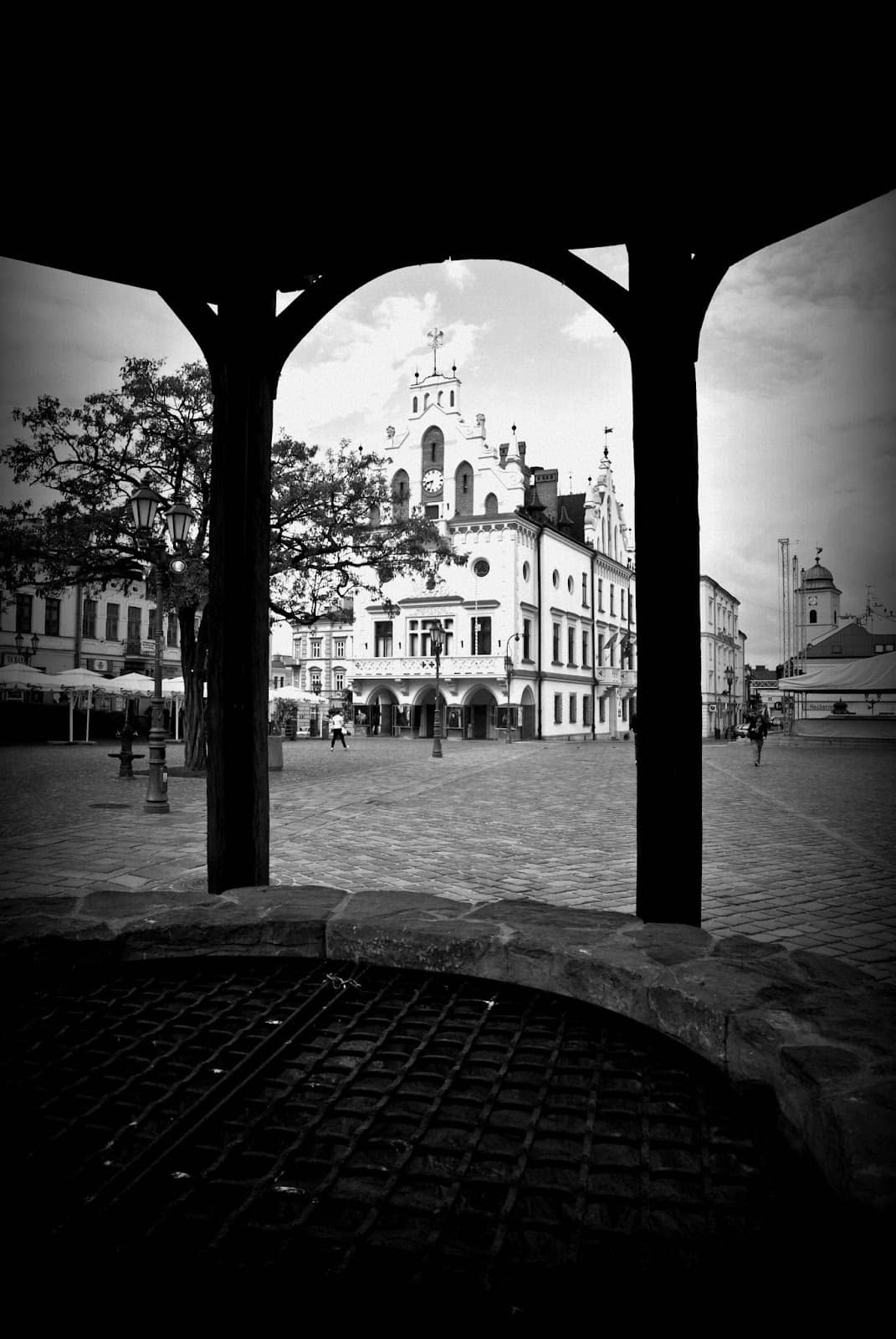 Vertical photo