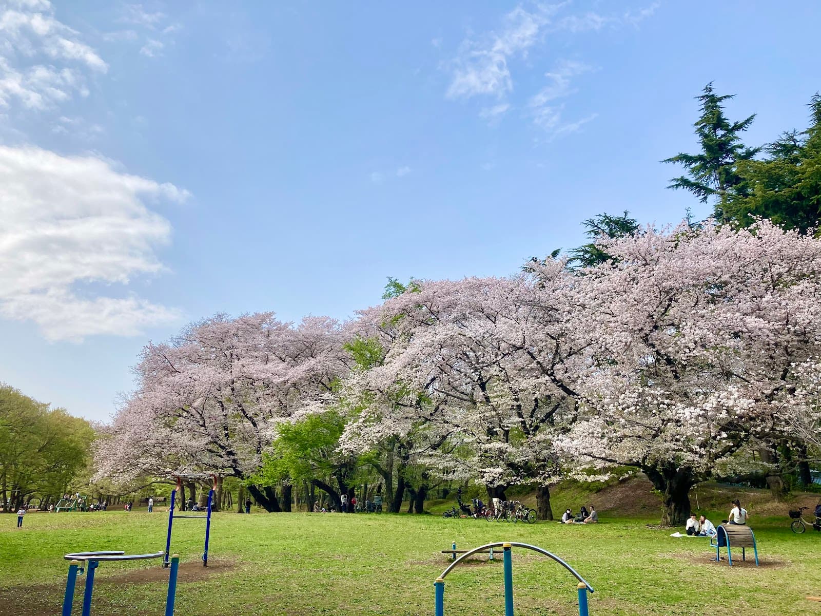 Nogawa Park - Image 1