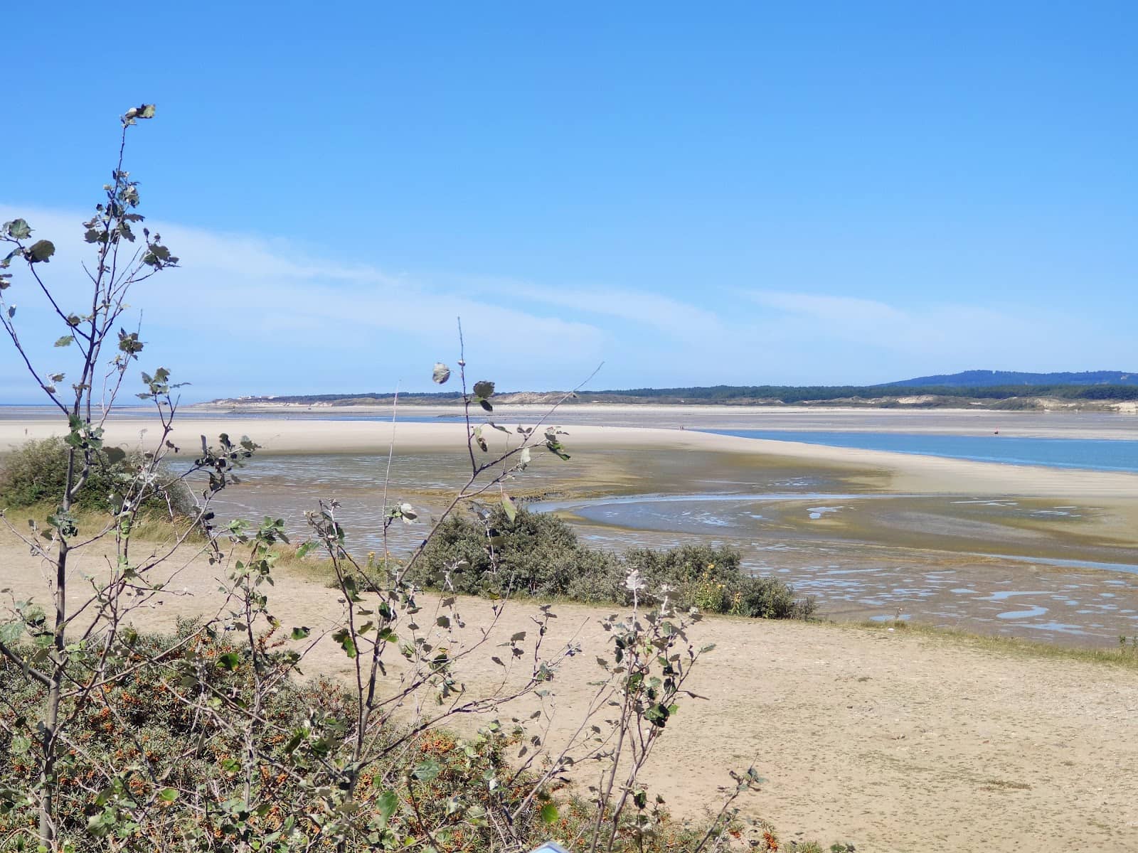 Baie de Canche