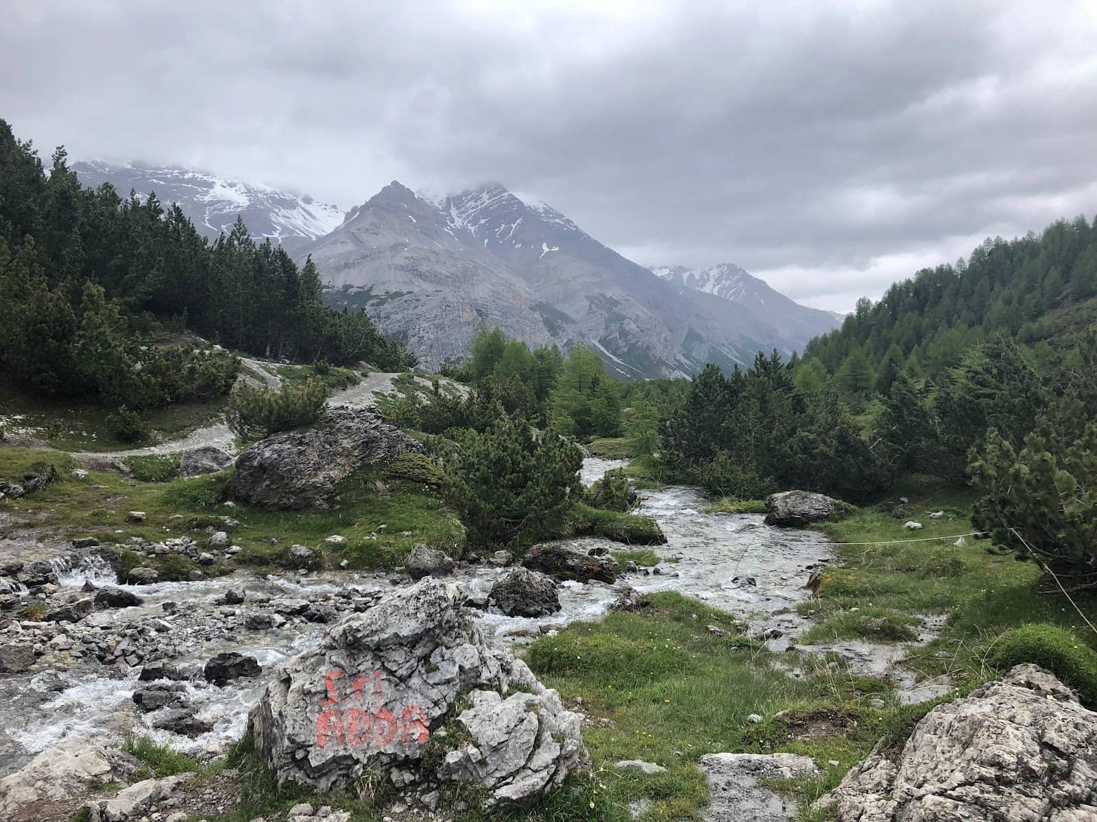 Circular Route to Alpisella Pass