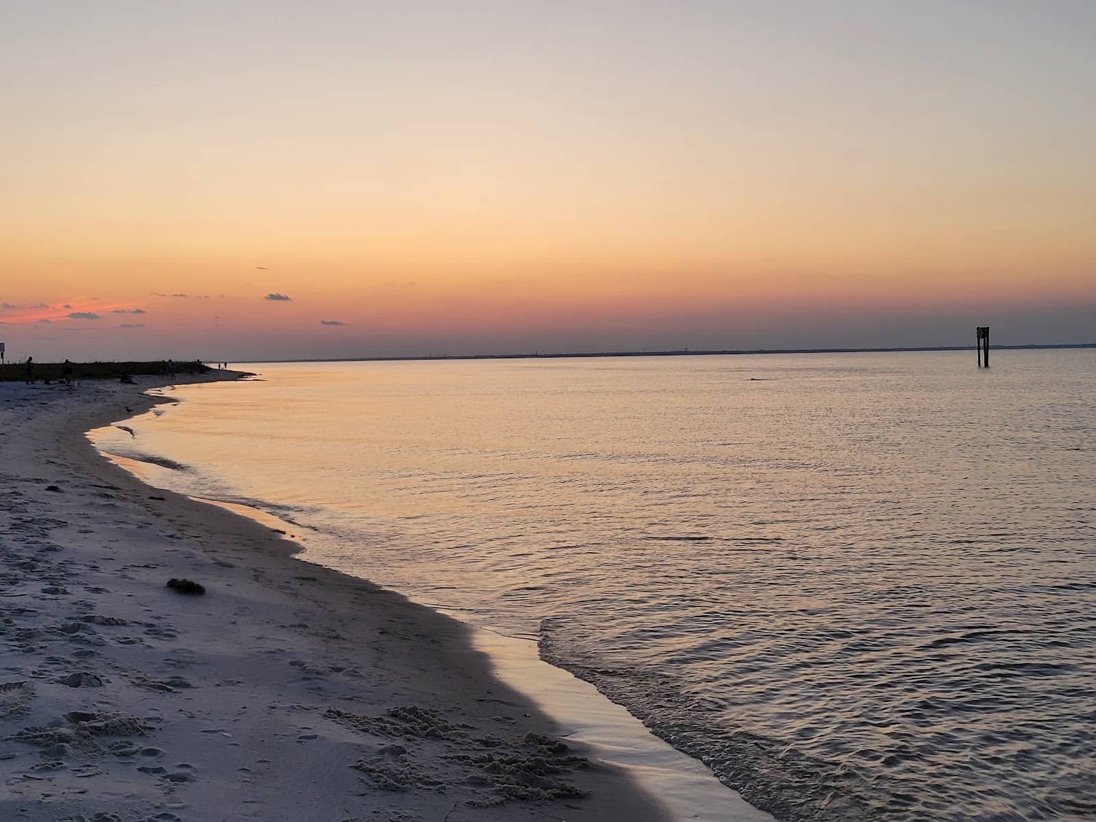 Man-Made Reef Exploration