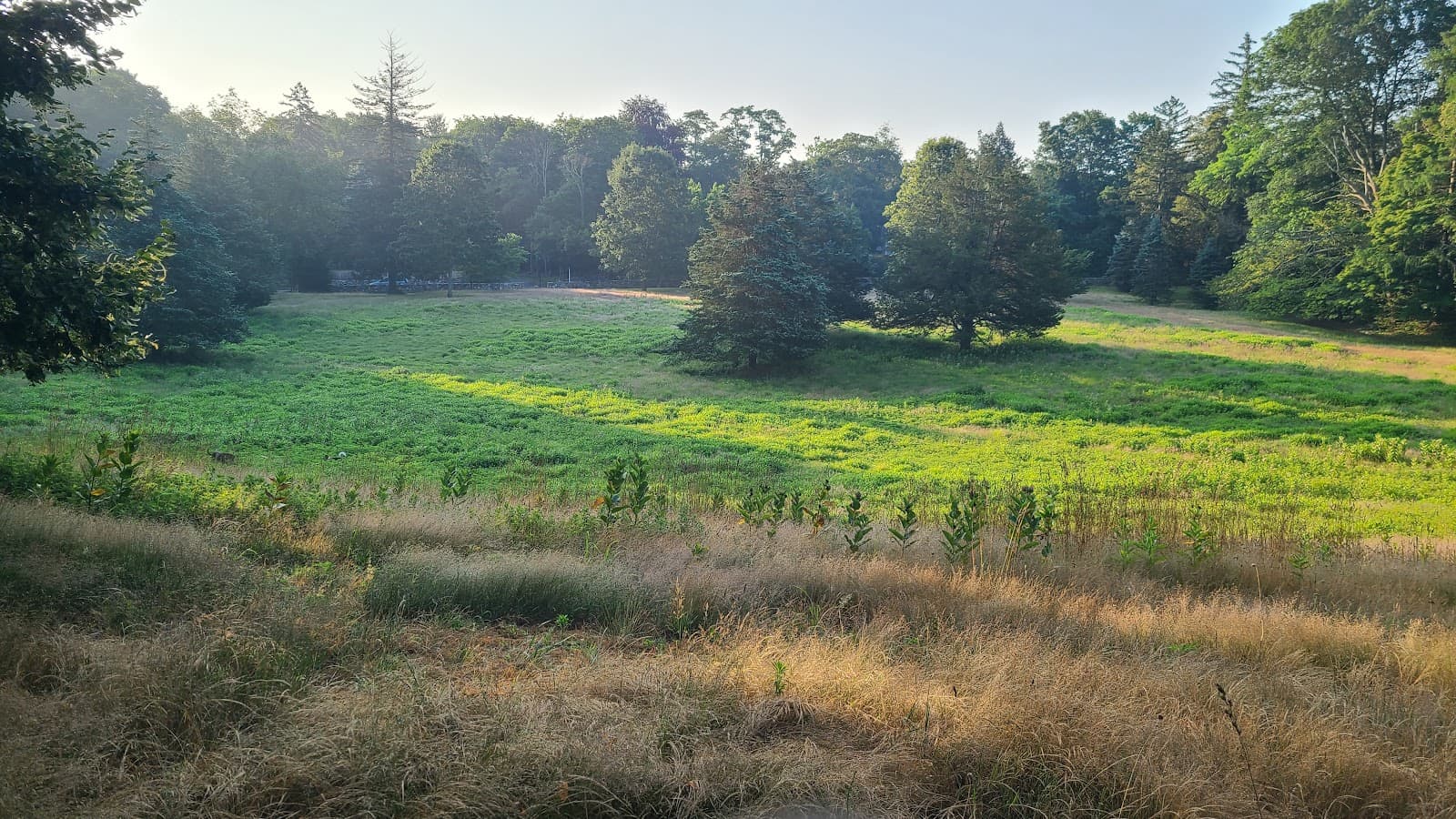 Winslow Park - Image 1