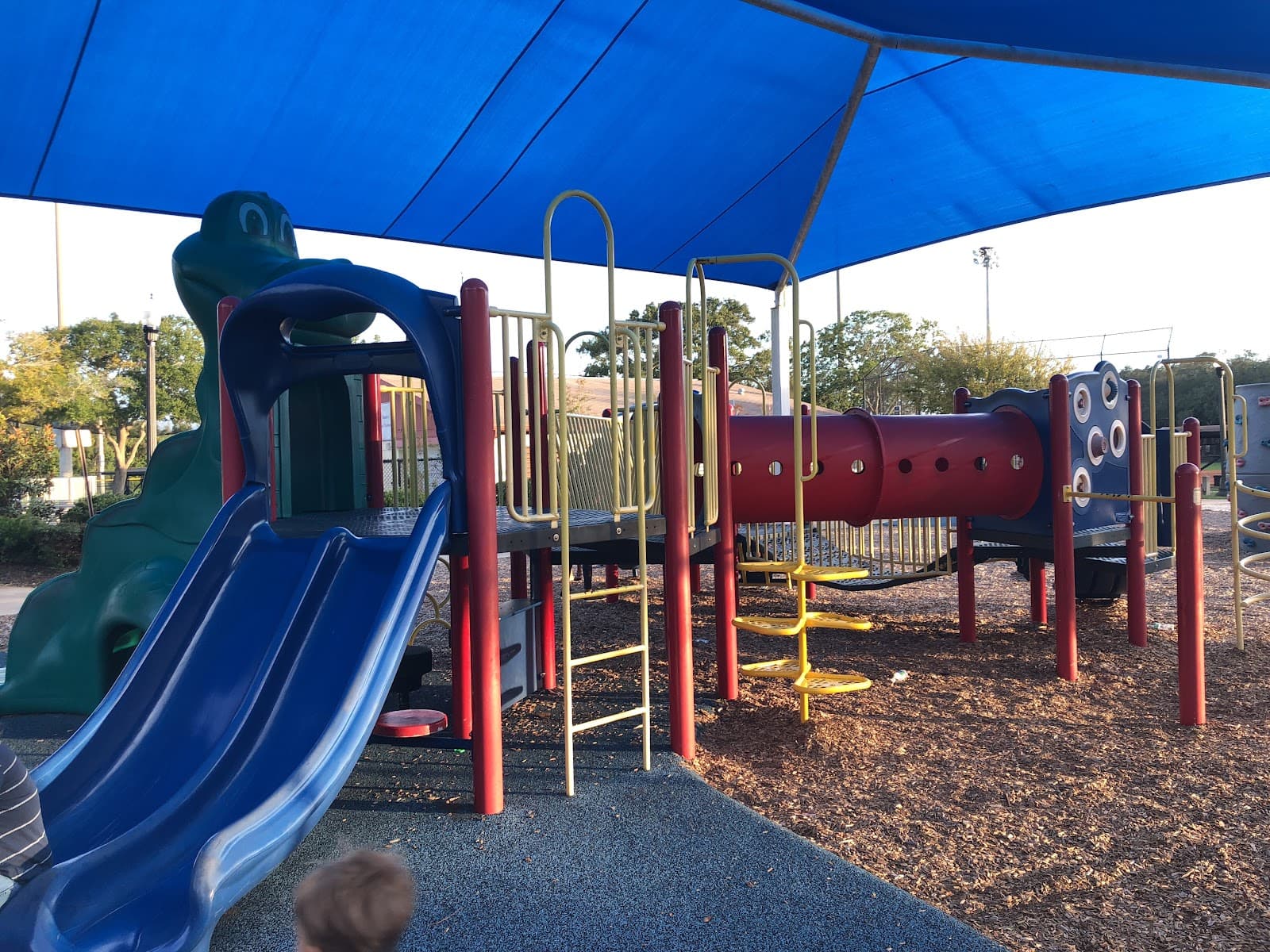 Safety Harbor City Park - Image 1