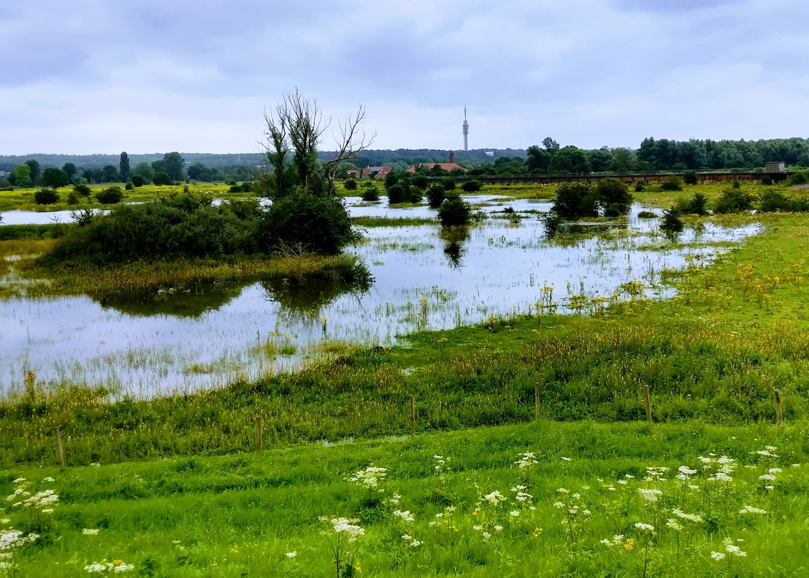Stadsblokken-Meinerswijk - Image 1
