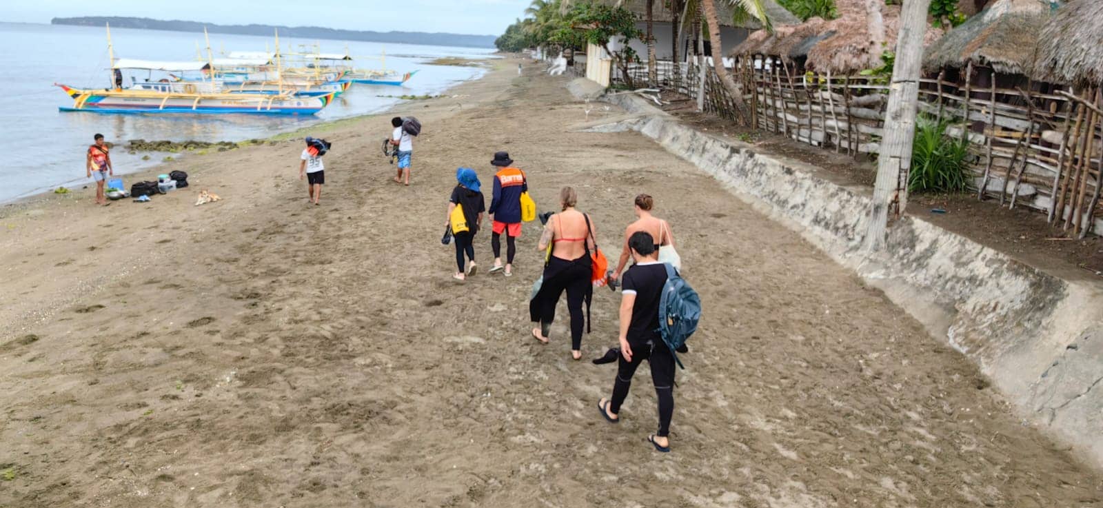 Firefly Watching Tour