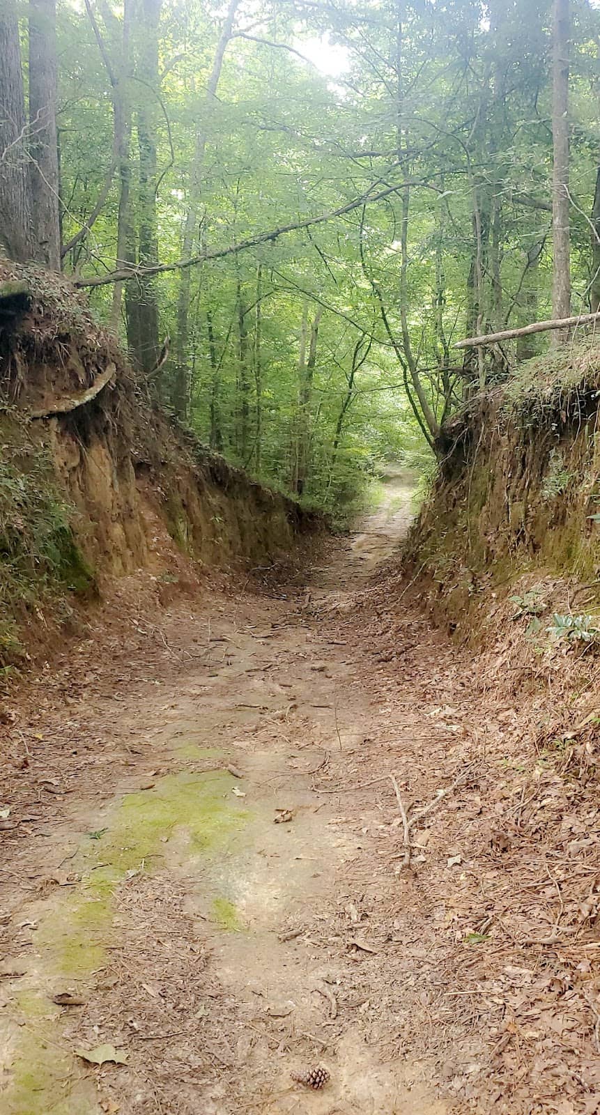 Secluded Hiking Paths