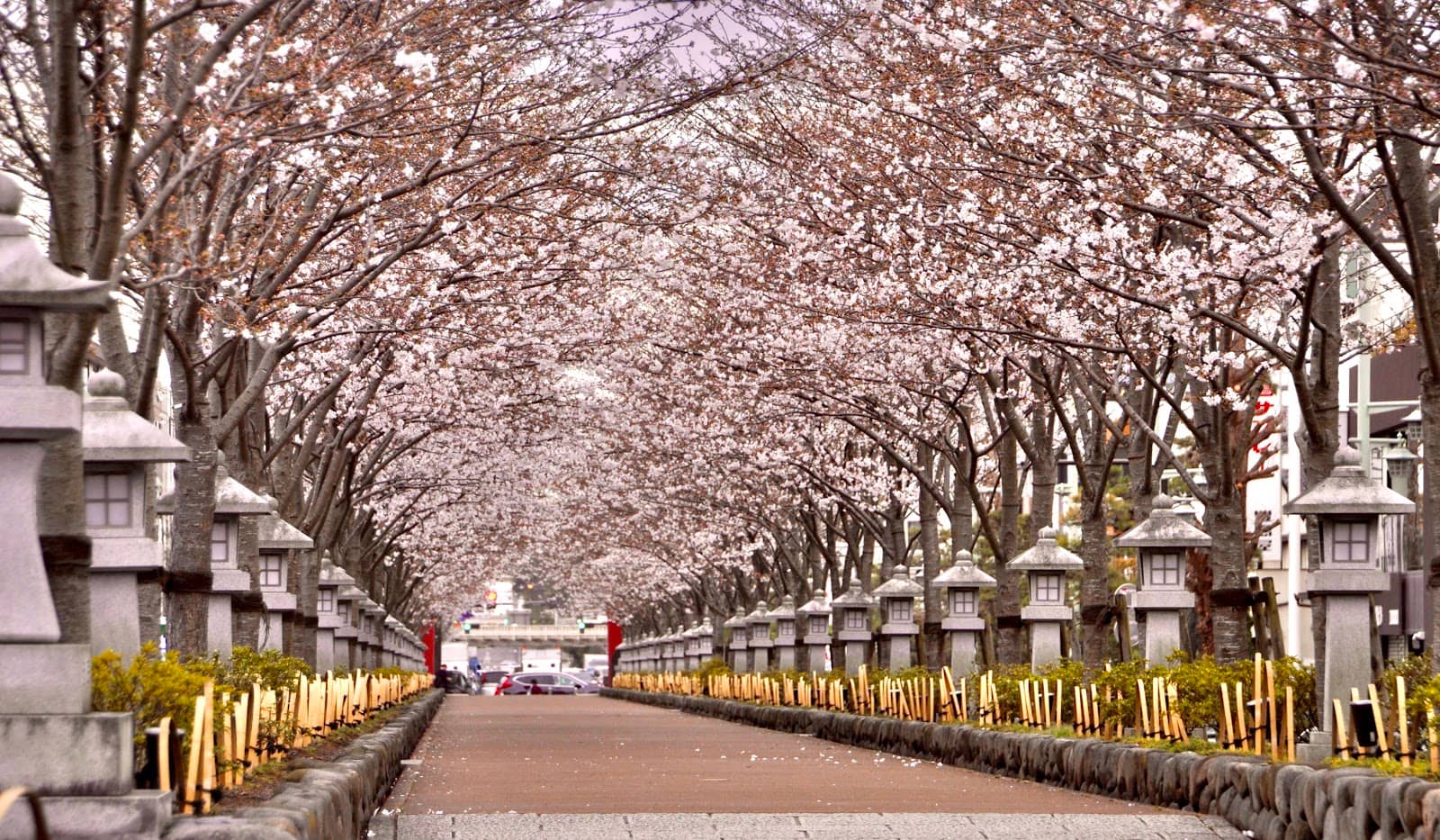 Nighttime Illumination