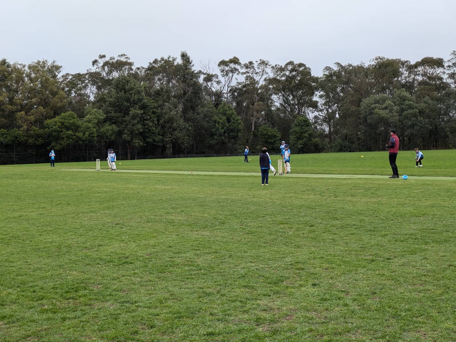 Mountain Bike Trails