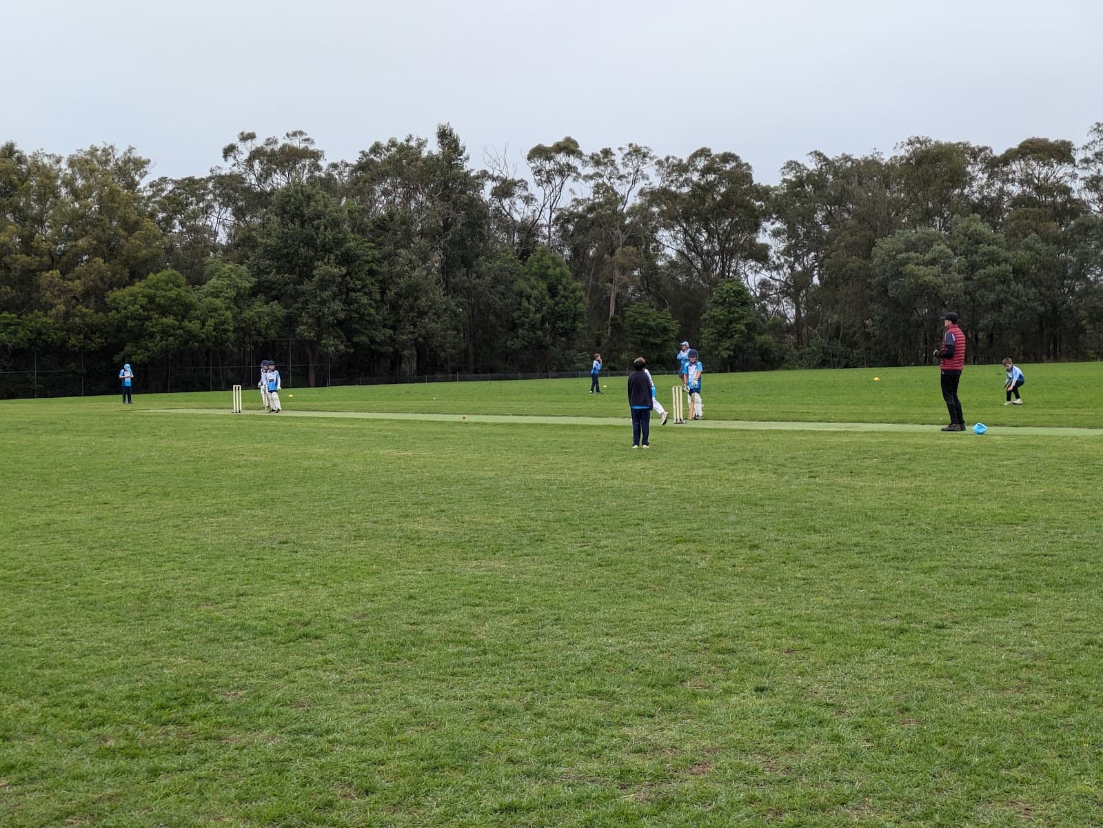 Knapsack Park, Glenbrook NSW 2773, Australia - Image 1