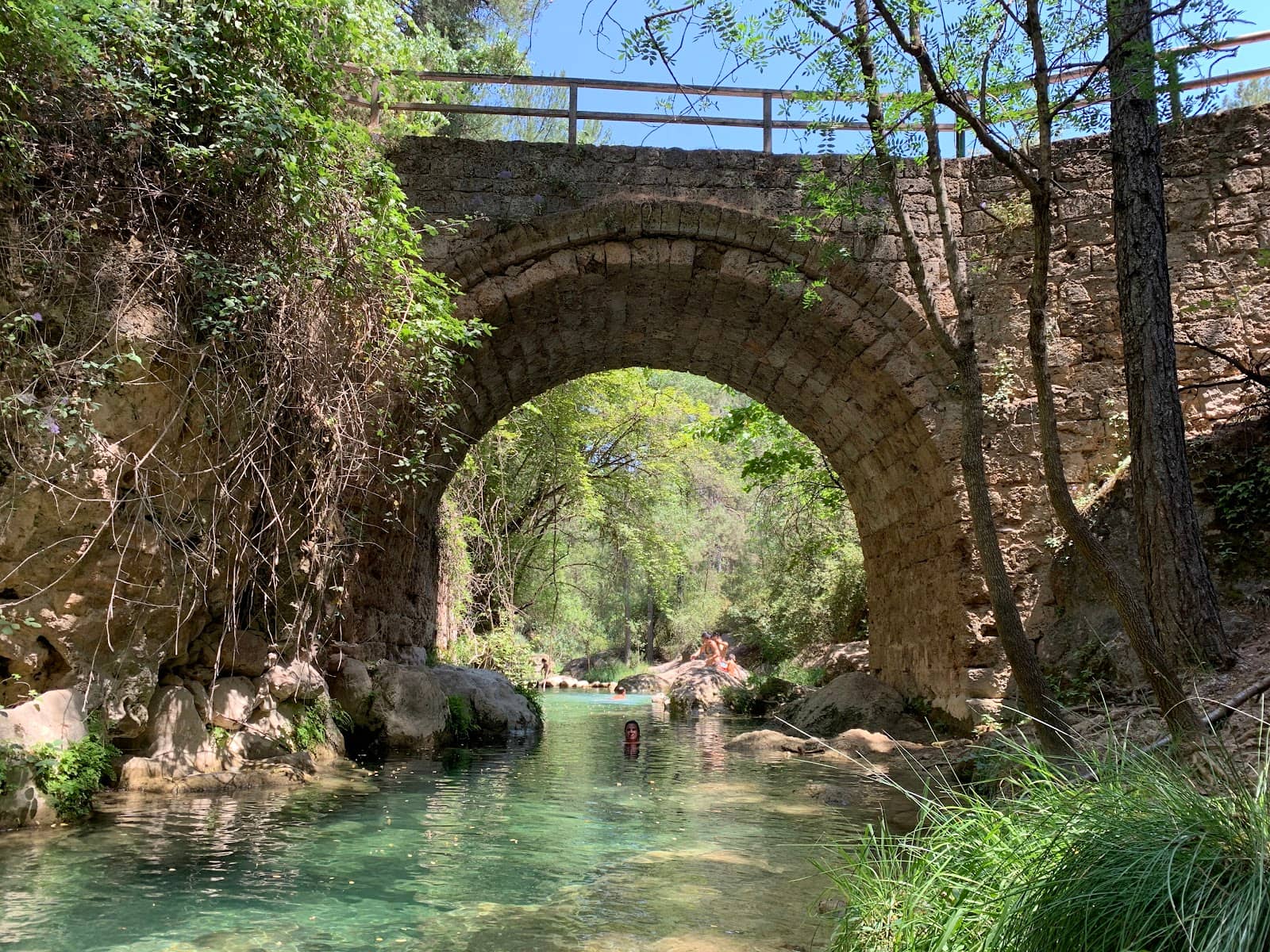 Forest Trails & Nature Walks