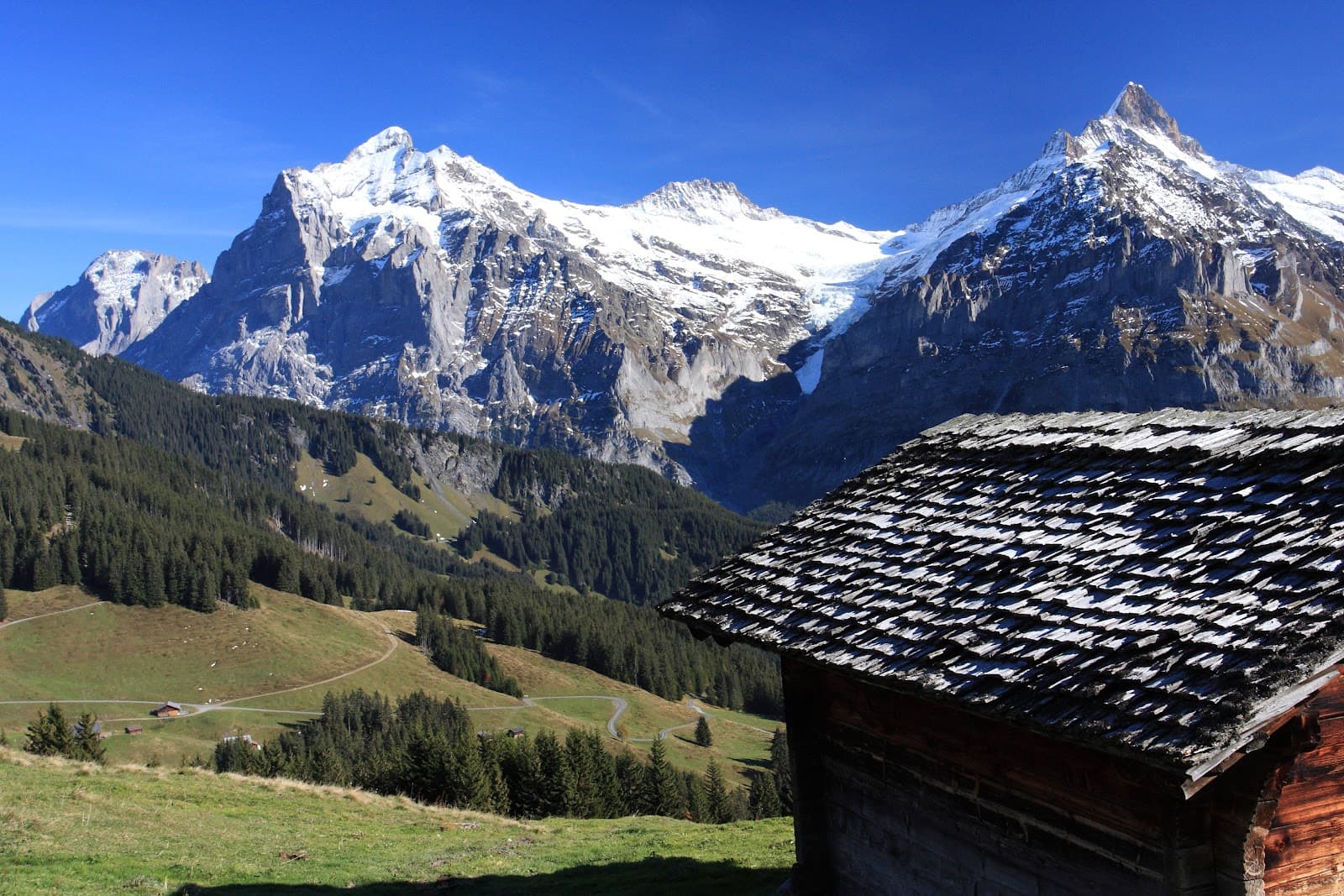 Bussalp - Image 1