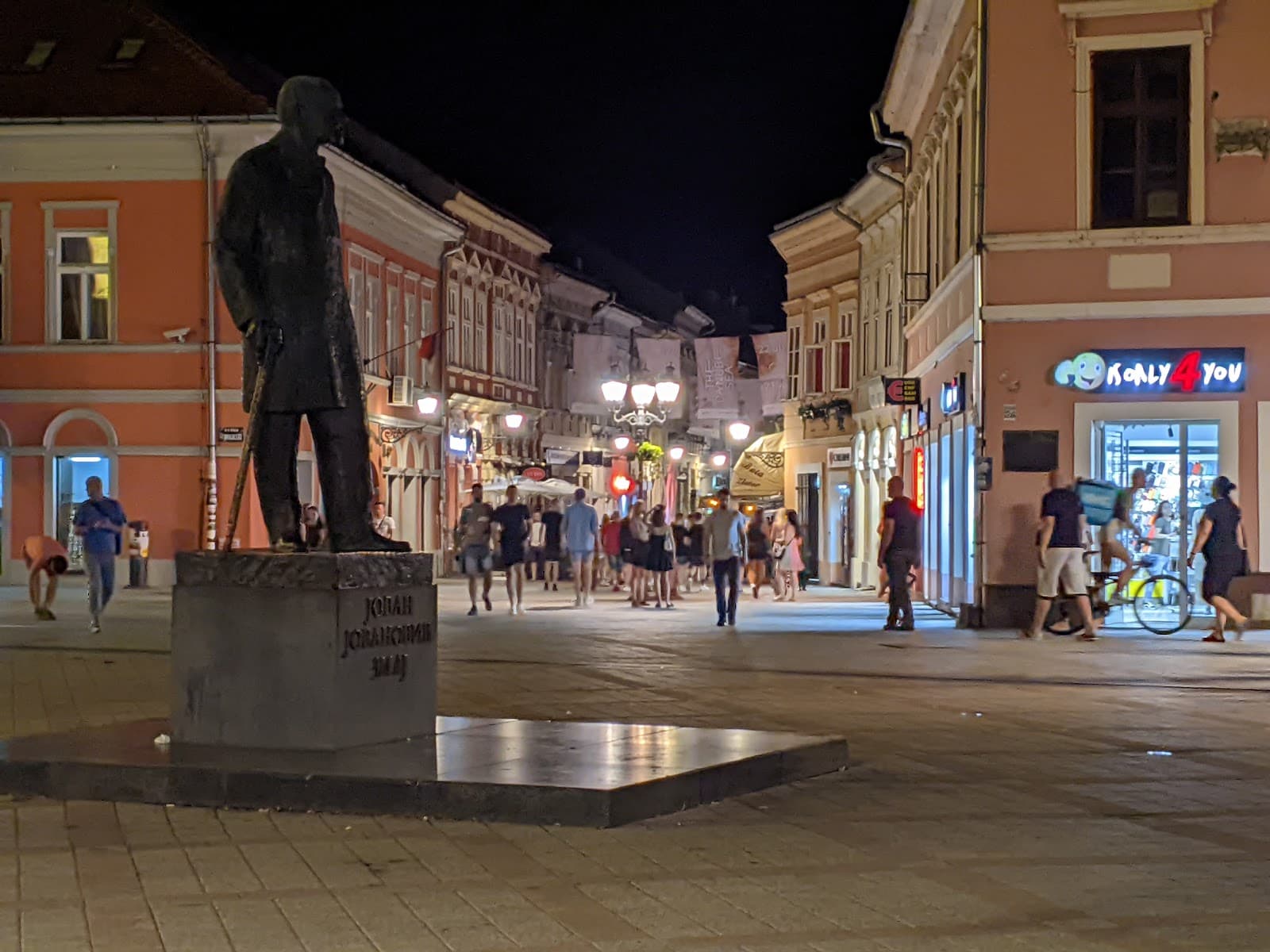 Jovan Jovanović Zmaj Memorial House - Image 1
