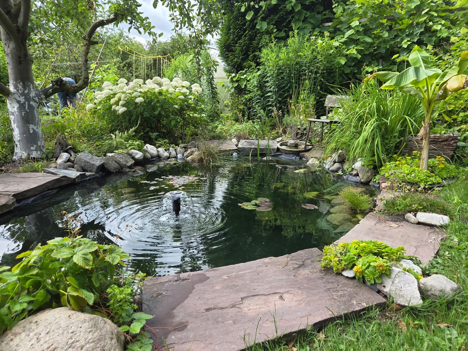 Annateich Ponds - Image 1