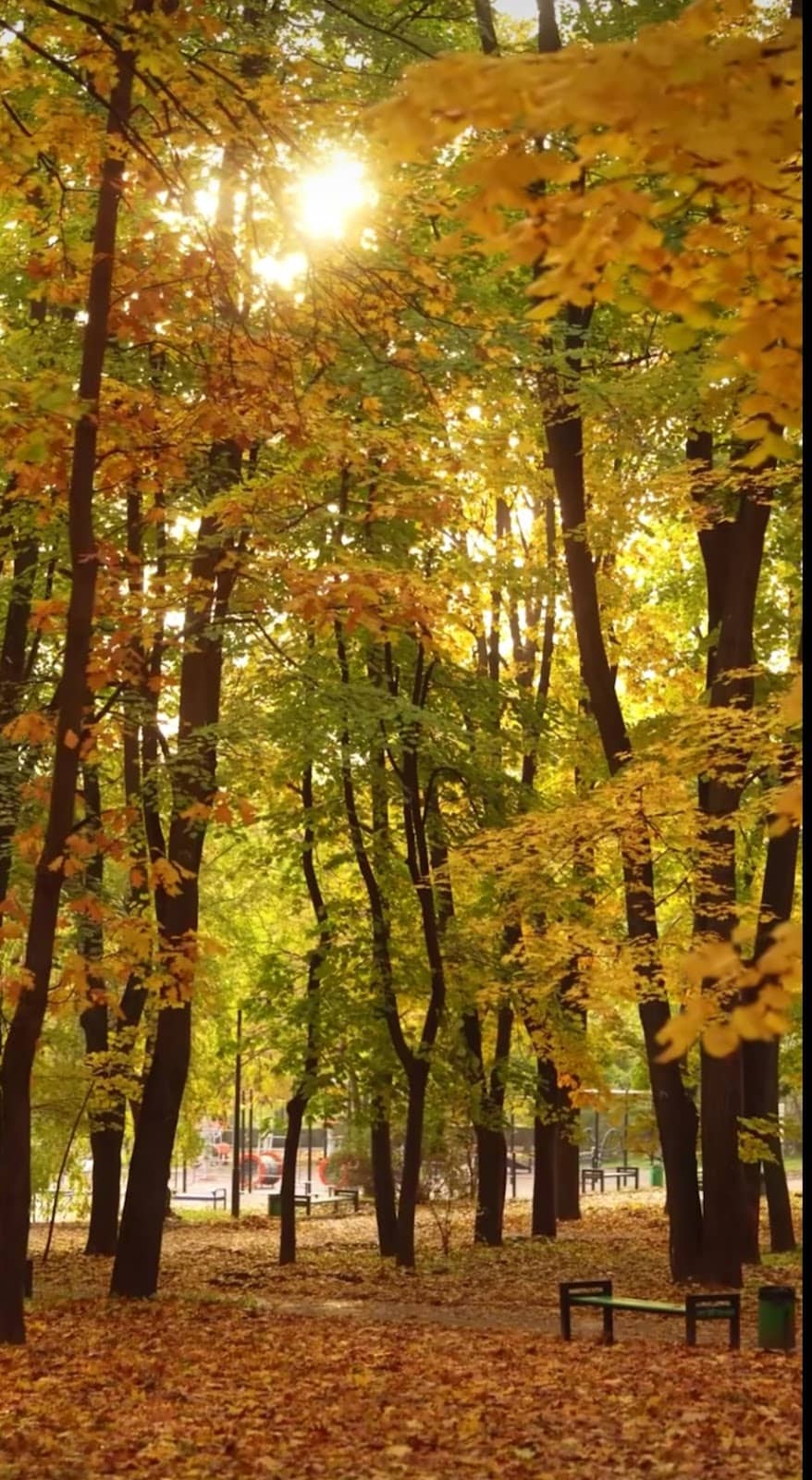 Vertical photo